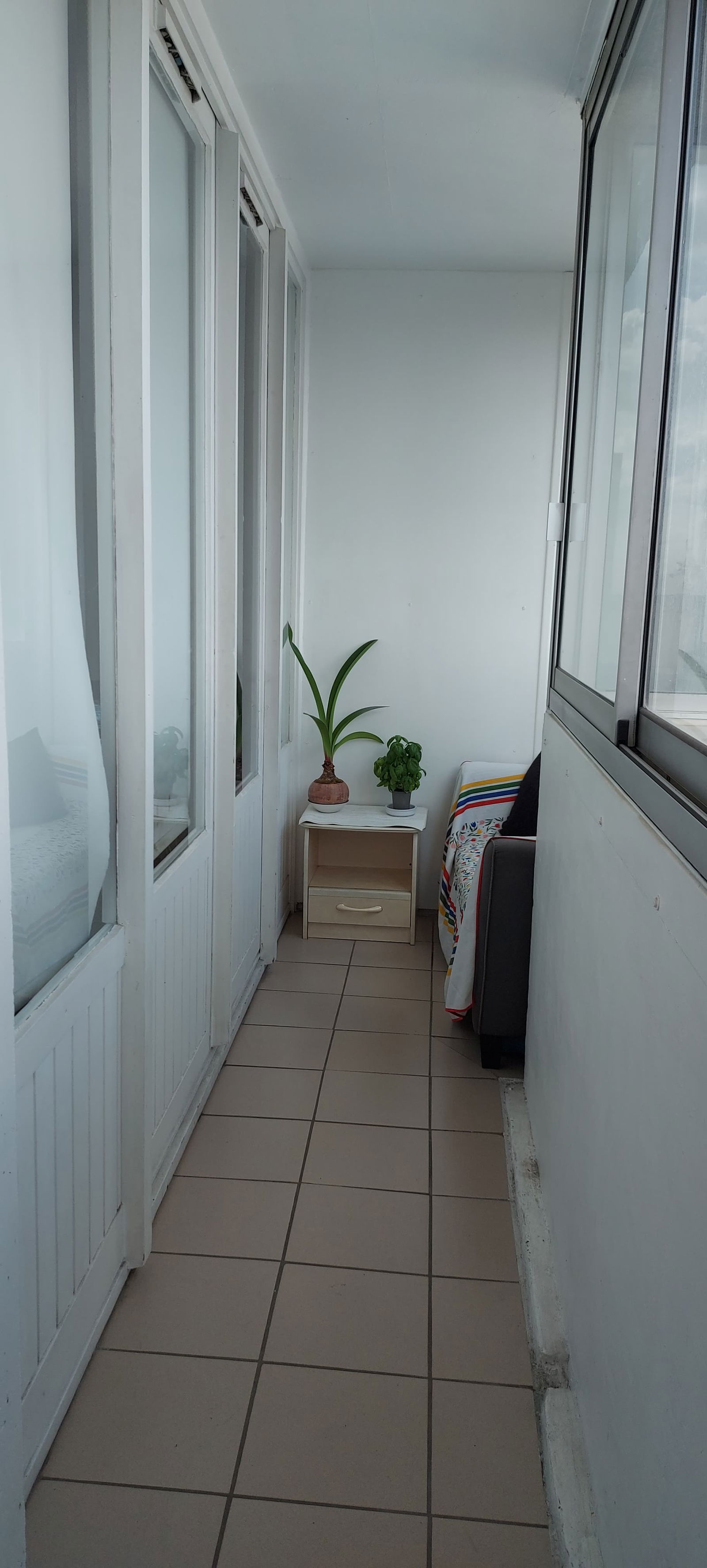 Kolokasie Vitry-sur-Seine 153693