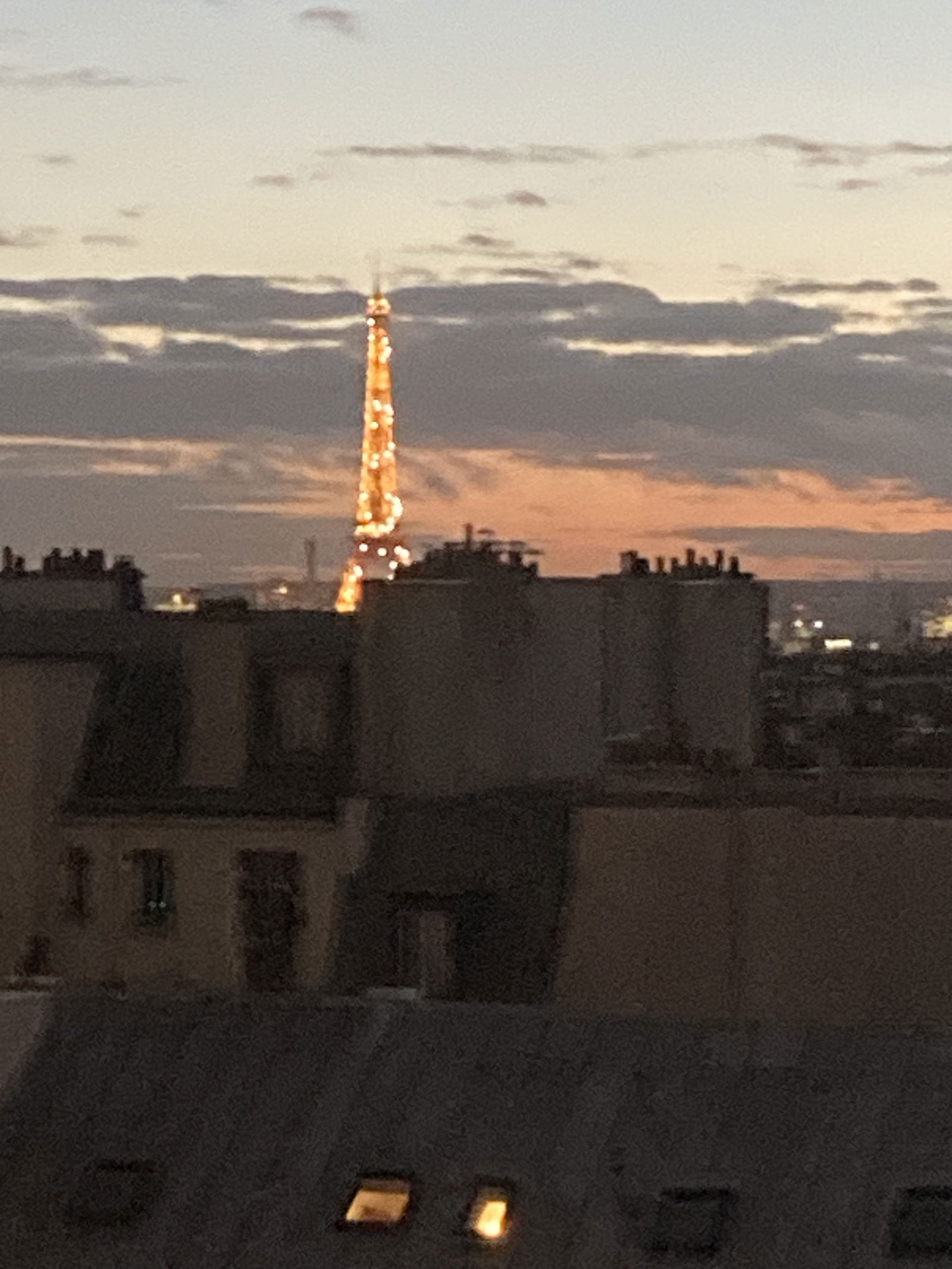 Gastgezin Paris 634344