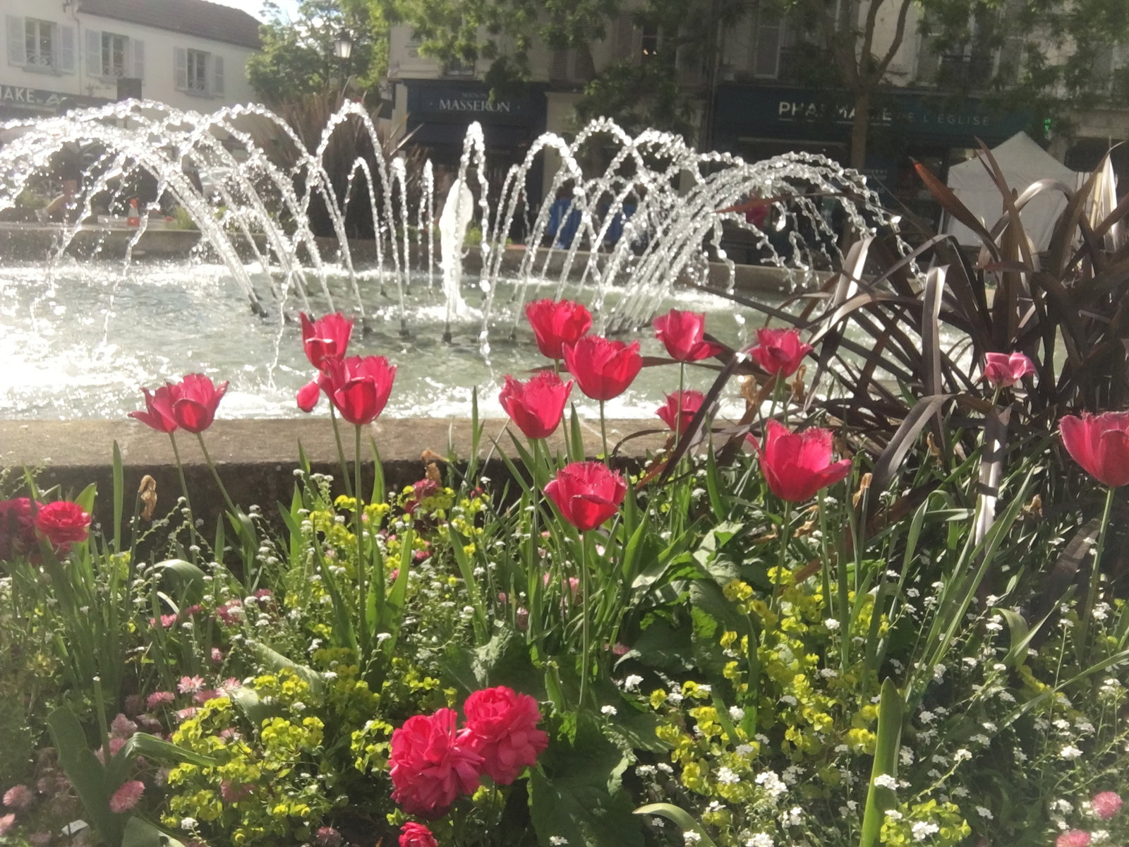 Kolokasie Rueil-Malmaison 582724