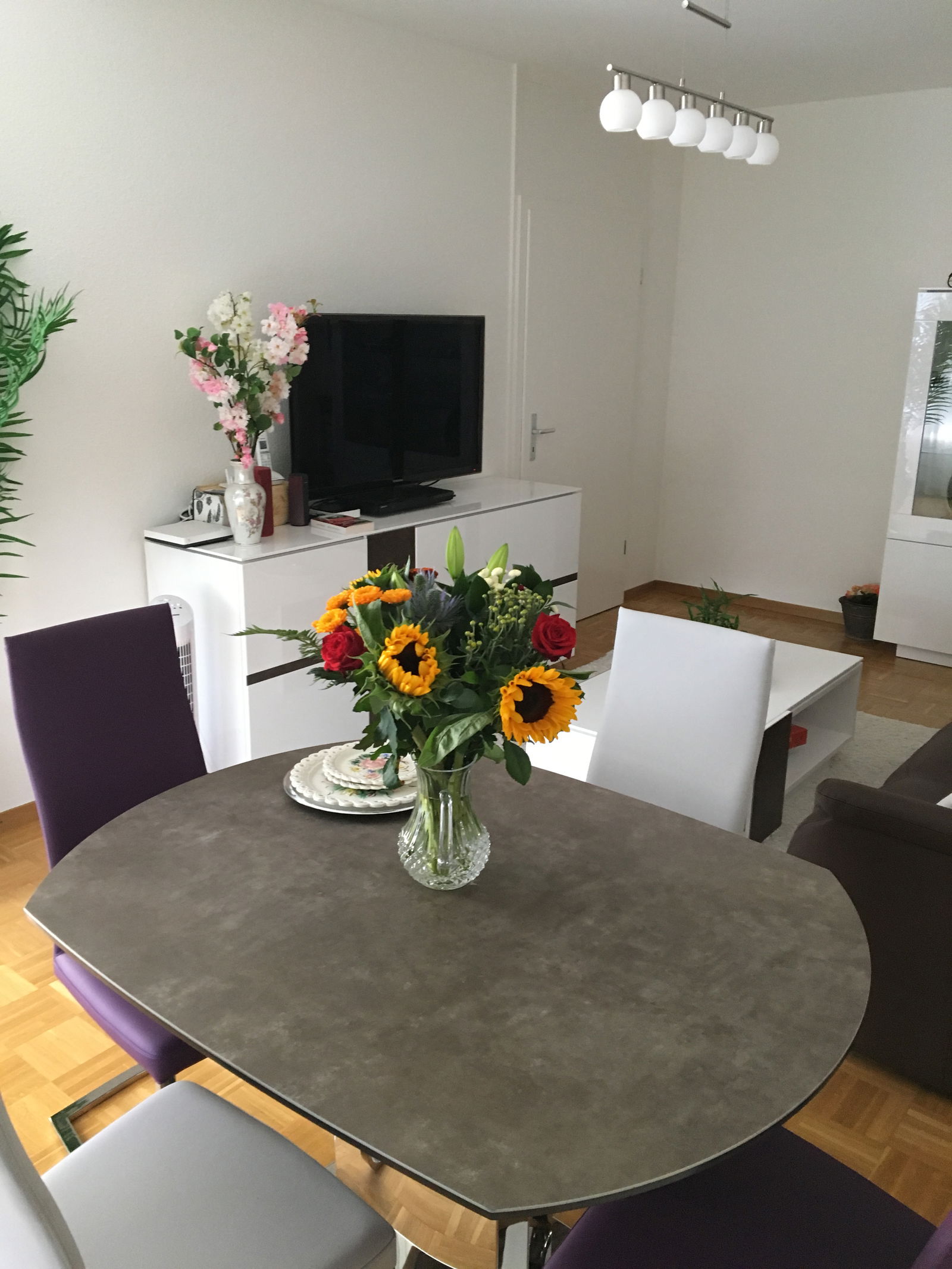 Gastenkamers Genève 236341