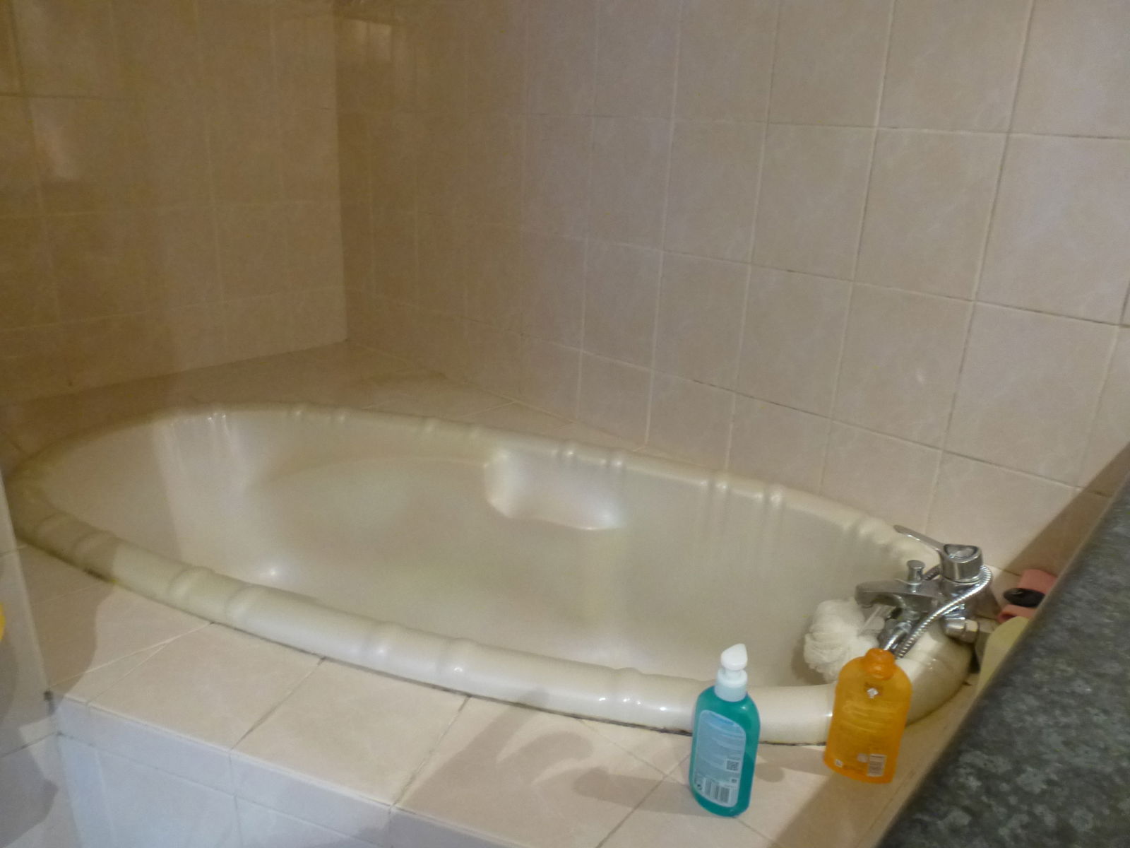 Kolokasie Lyon 249392