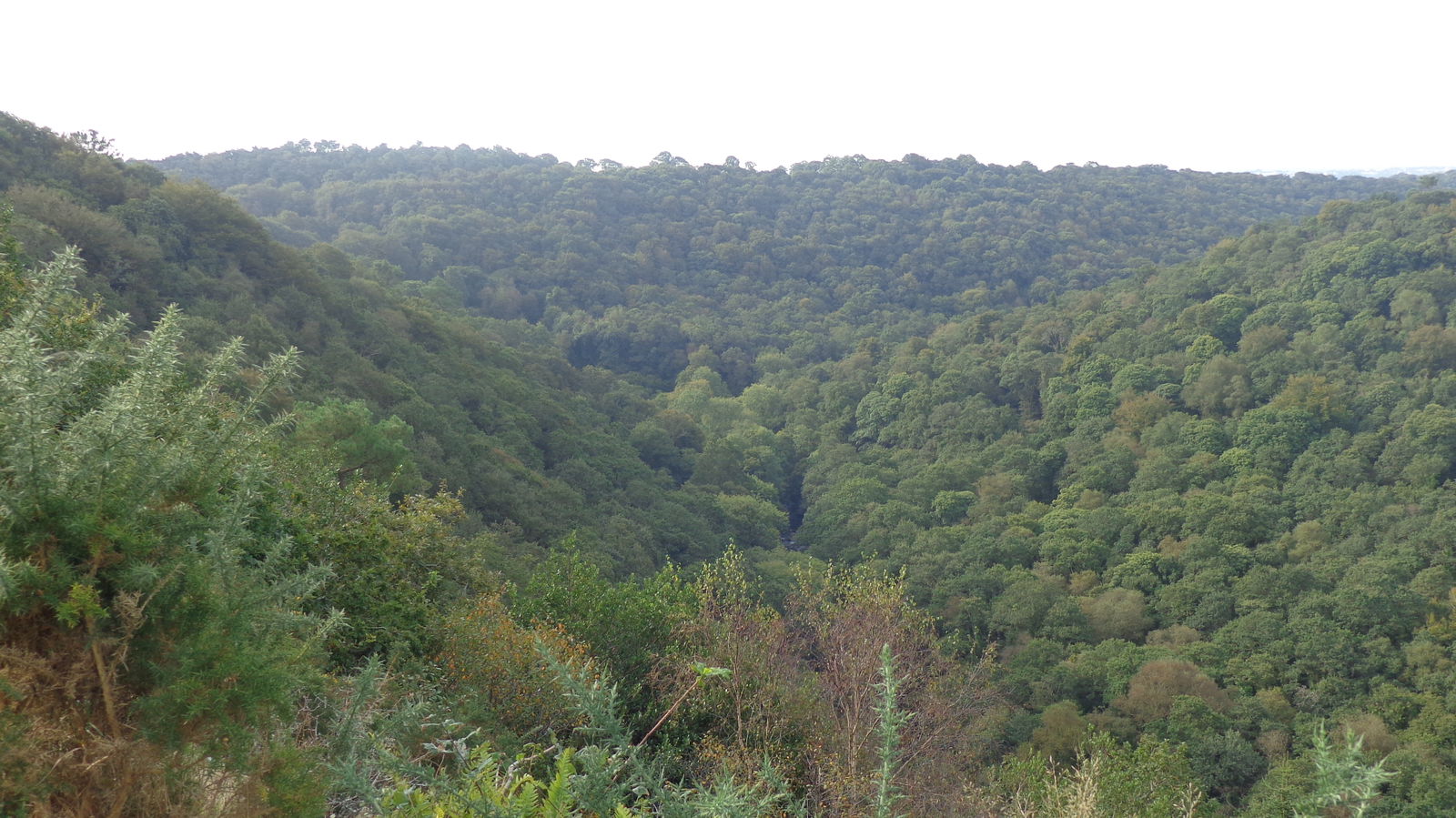 Gastgezin Ergué-Gabéric 117339