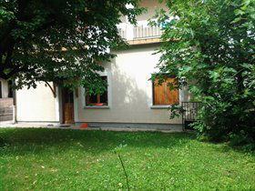 Kolokasie Cognin 482648