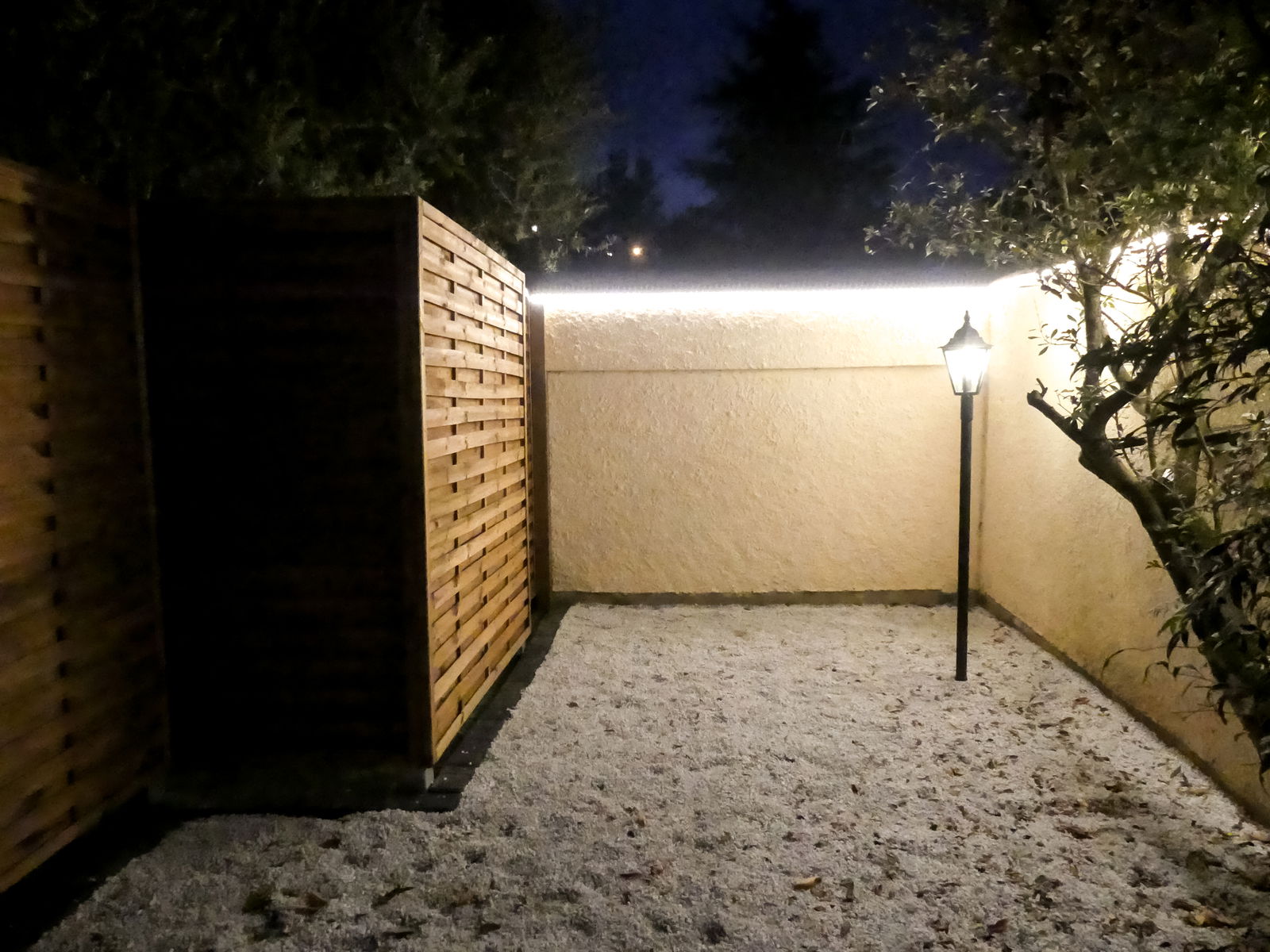 Kolokasie Toulouse 260549