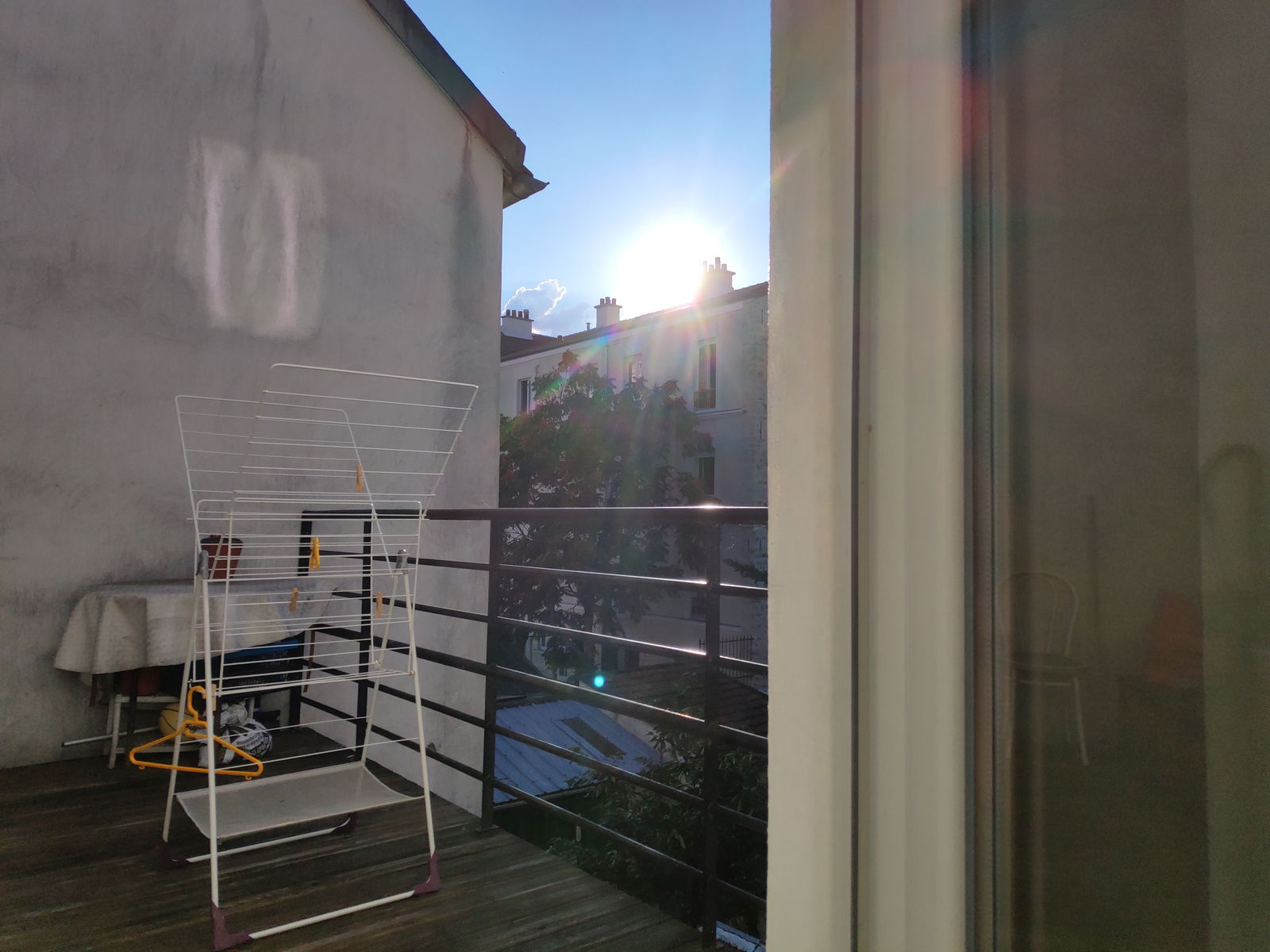 Kolokasie Malakoff 395186