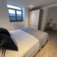 Kolokasie Bruxelles 534536