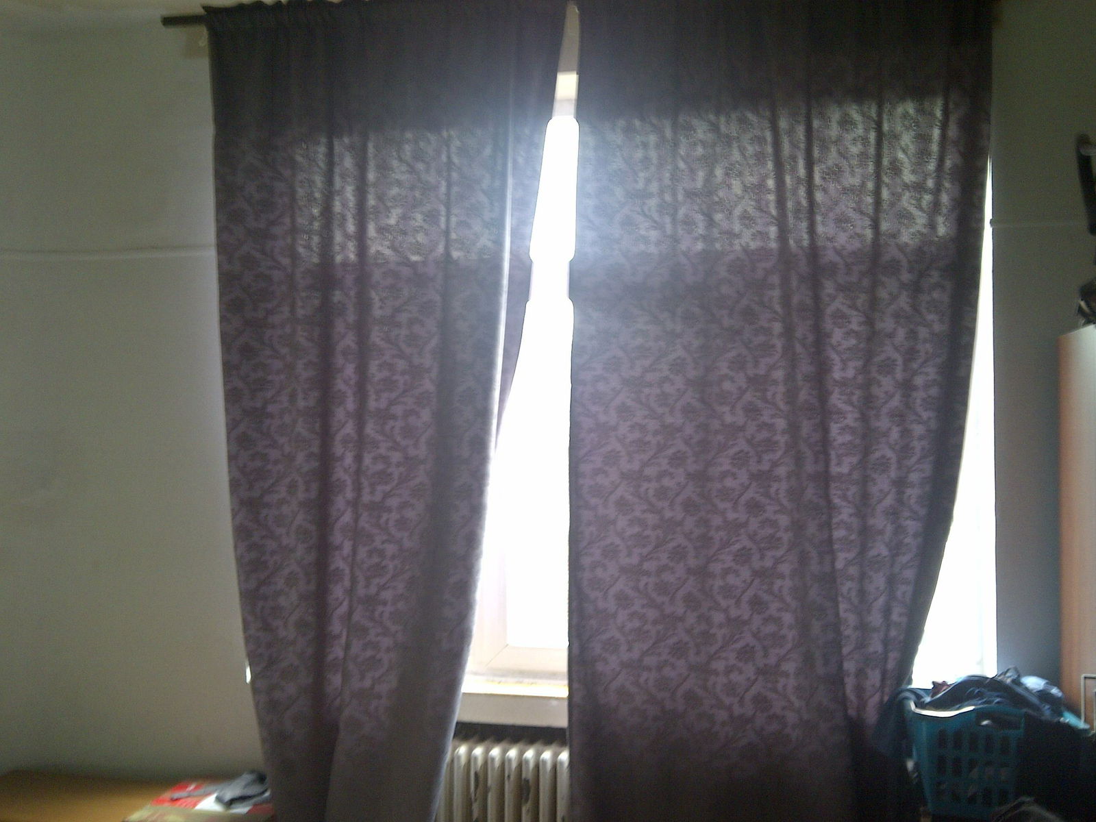 Kolokasie Saint-Josse-ten-Noode 80014