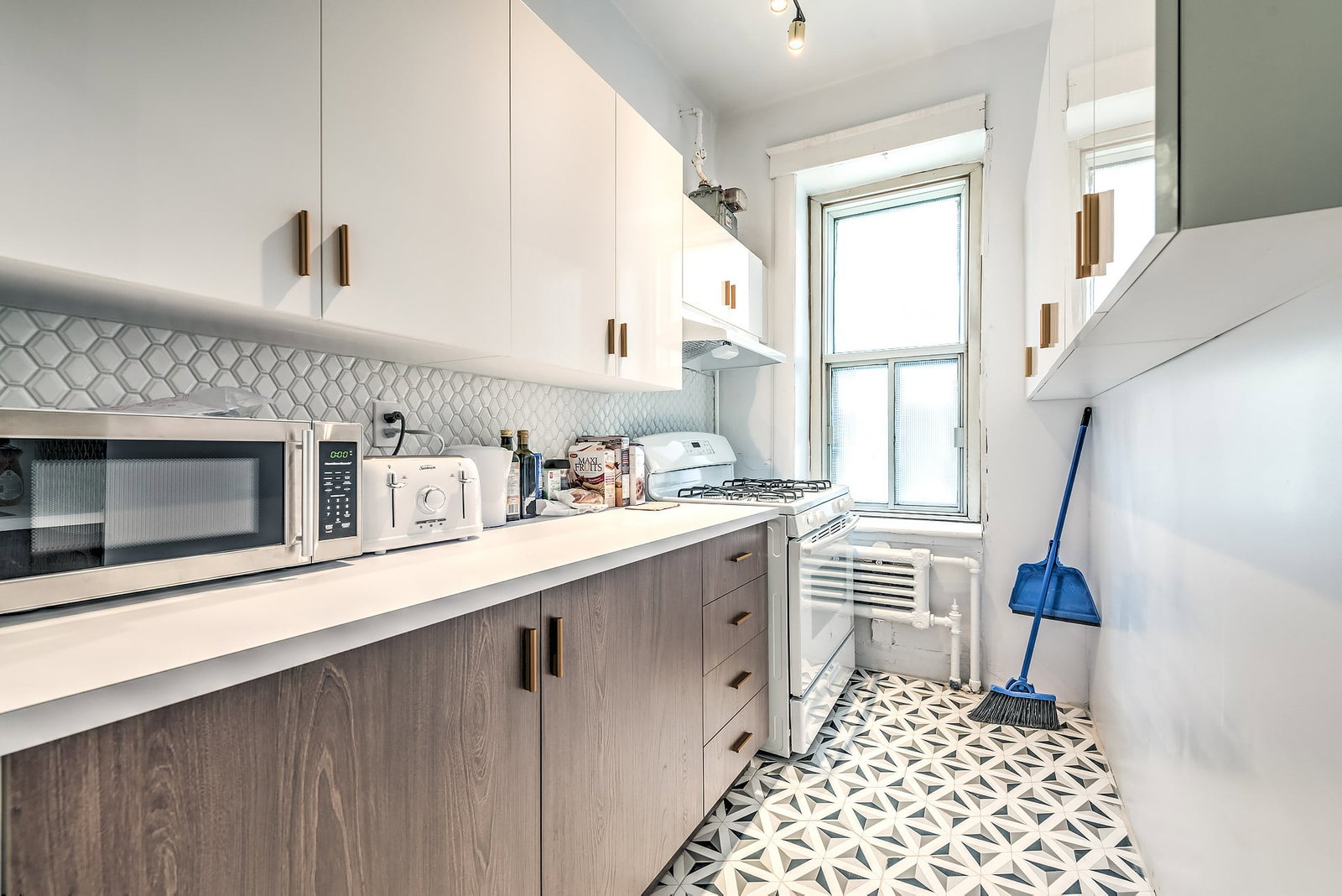 Kolokasie Montreal 662476