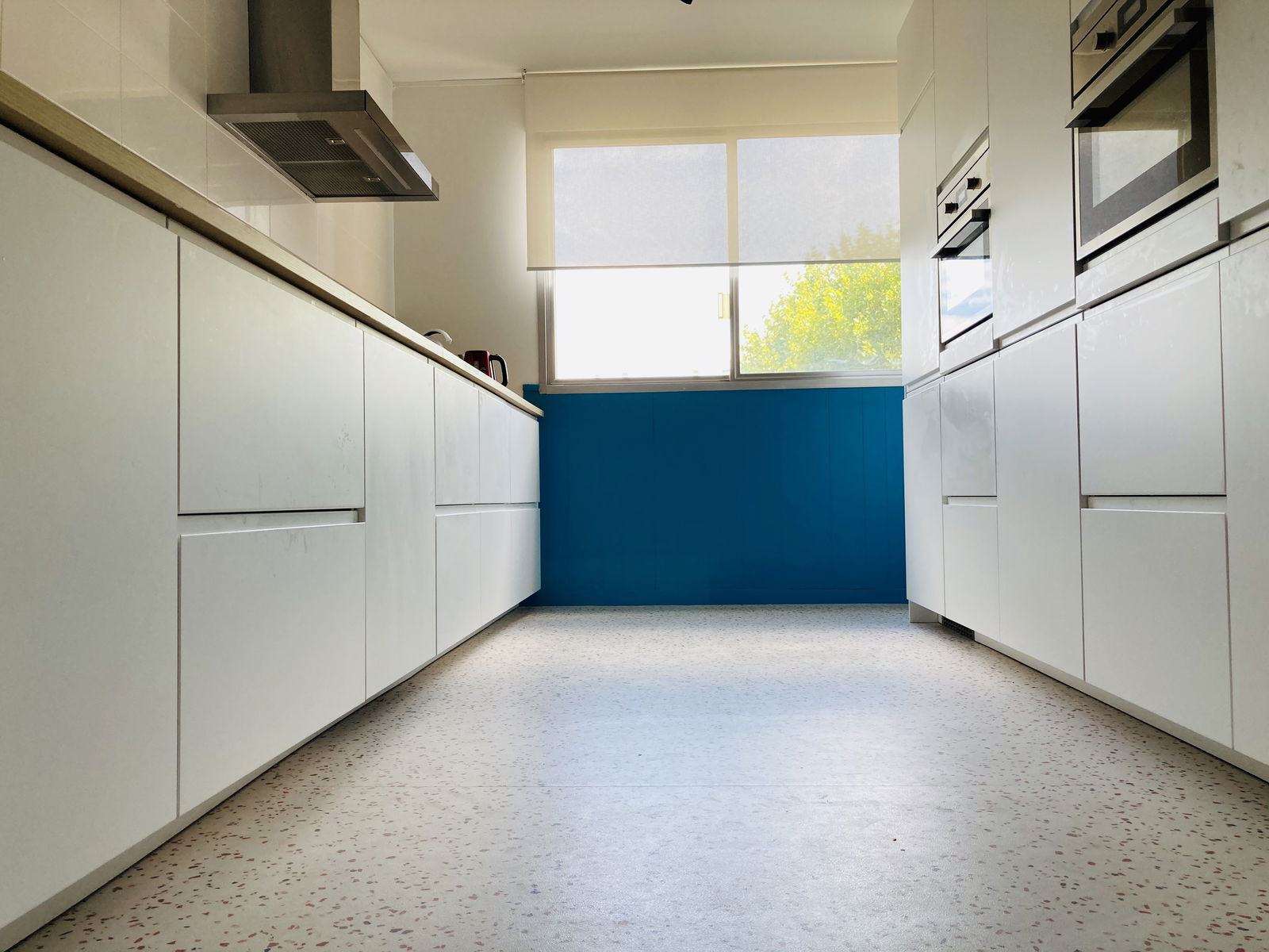 Kolokasie Bron 240719