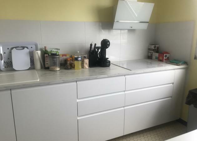 Kolokasie Bron 243751