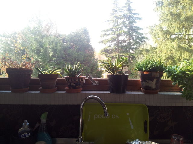 Onafhankelijke Studio La Tronche 15969