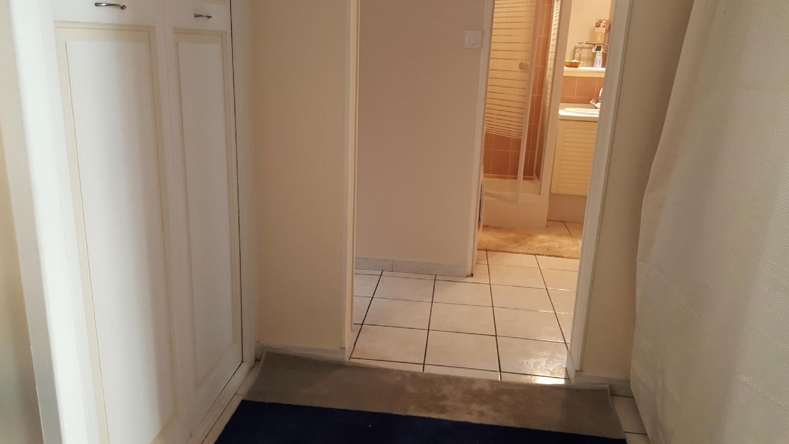 Kolokasie Saint-Étienne 615851