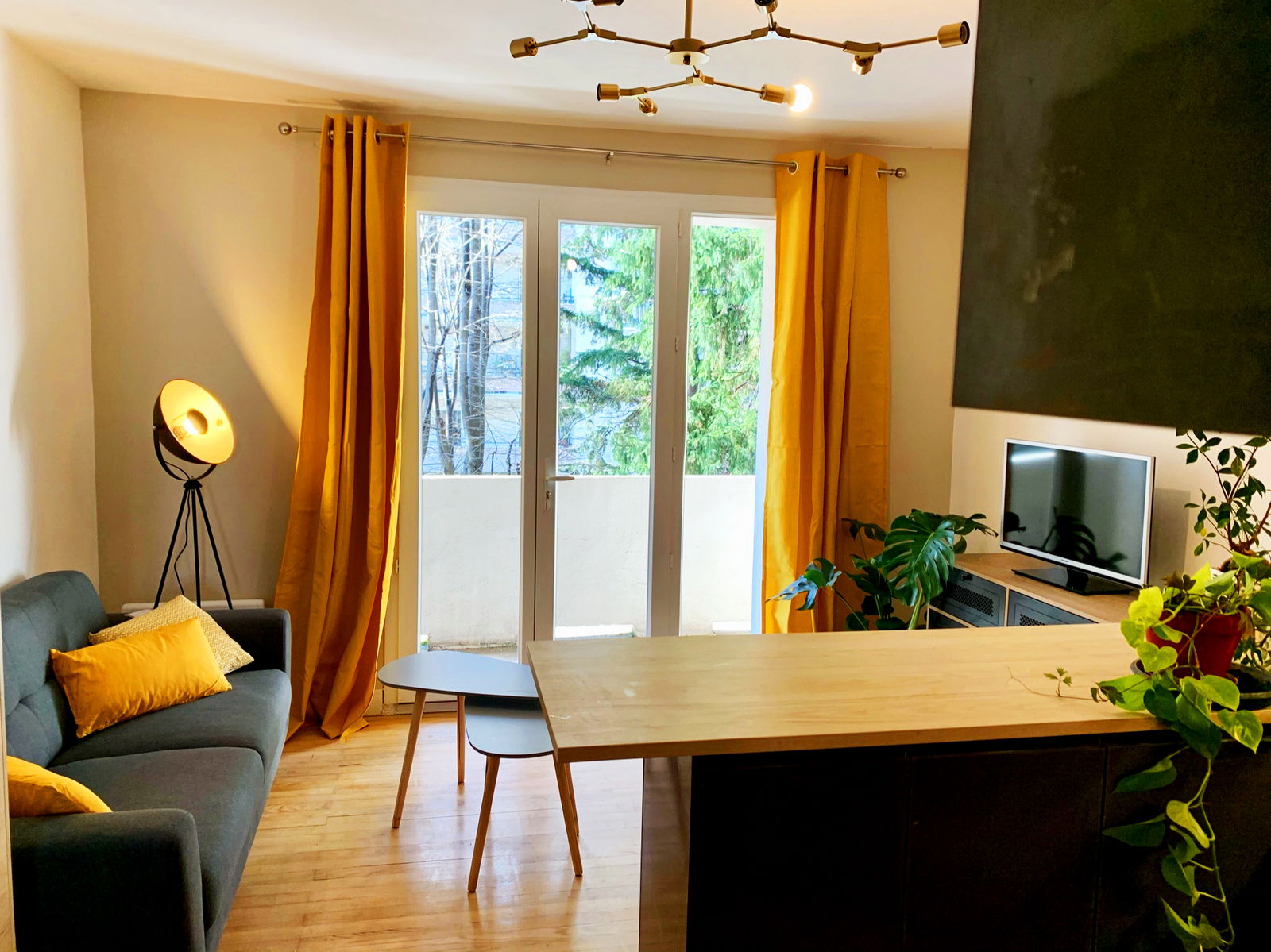 Colocatie Grenoble 521114