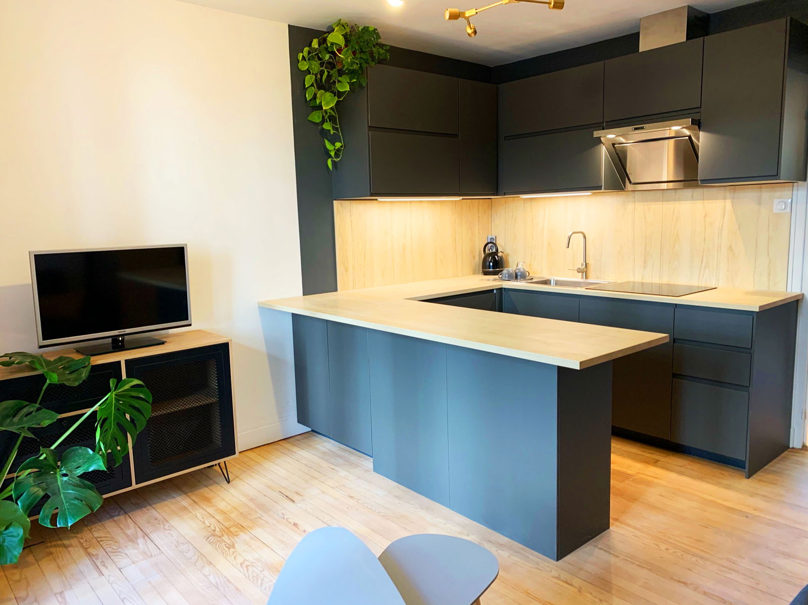 Colocatie Grenoble 521114