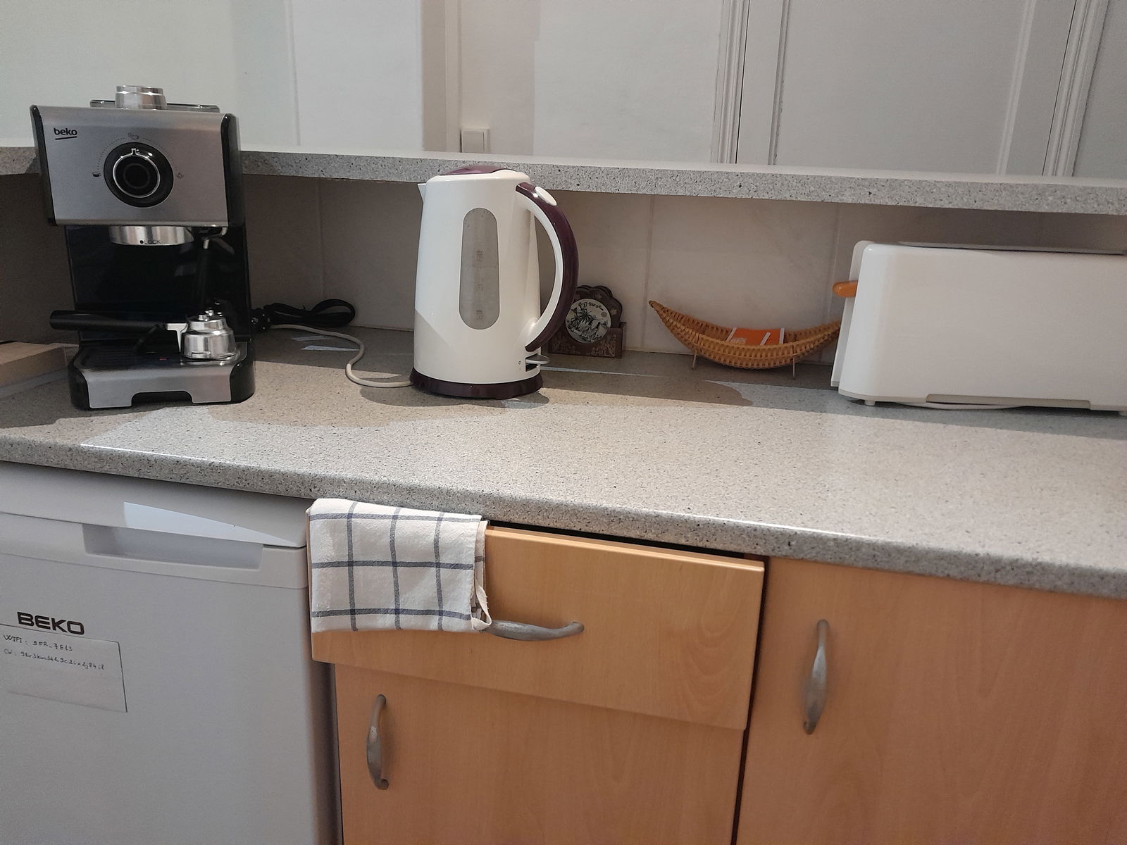 Kolokasie Nice 509021