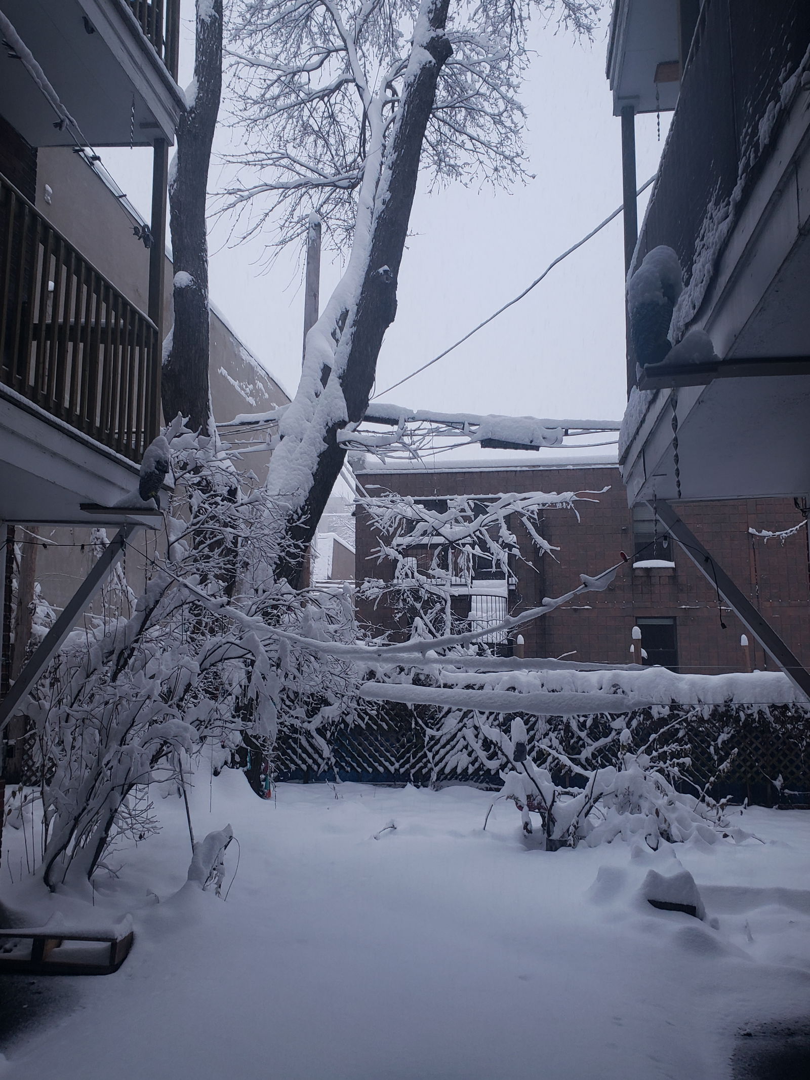 Tuisverblyf Montréal 615288