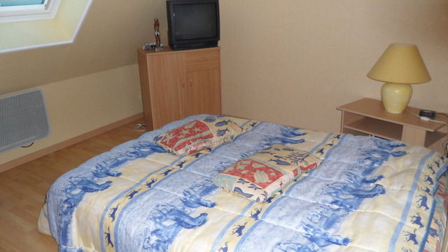 Gastenkamers Port Brillet 7345