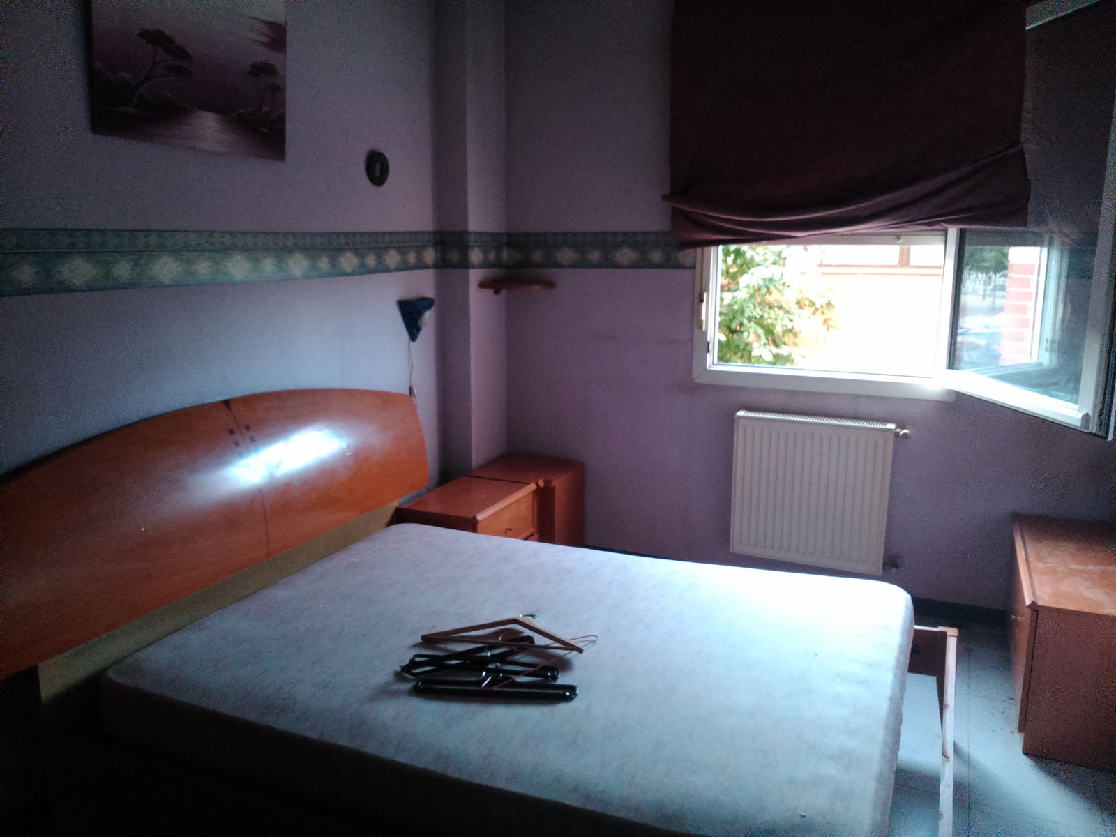 Kolokasie San Fernando de Henares 100032