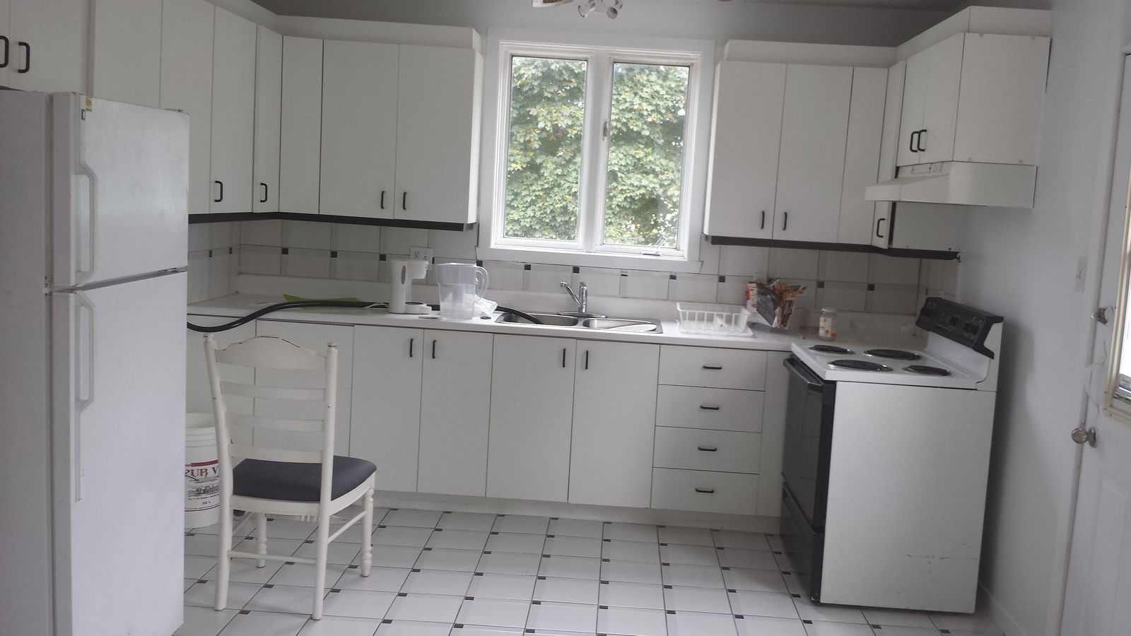 Kolokasie Montréal 113501