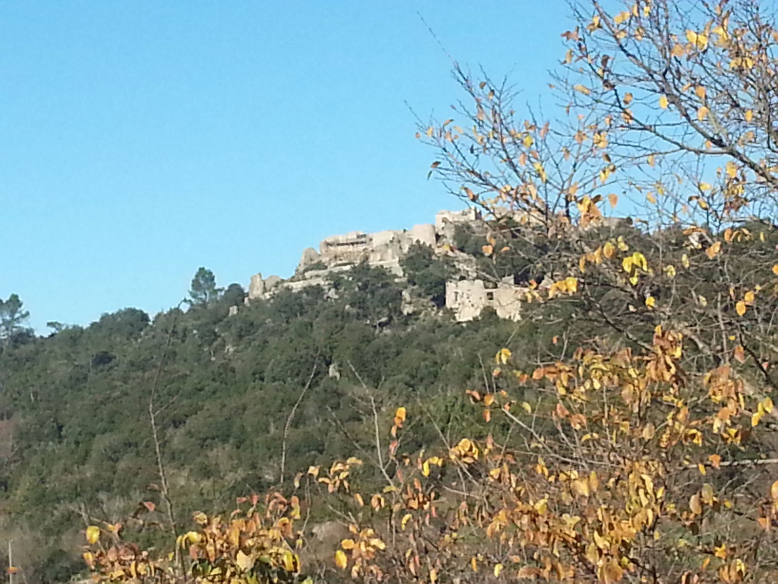 Gastgezin Flassans-sur-Issole 98161