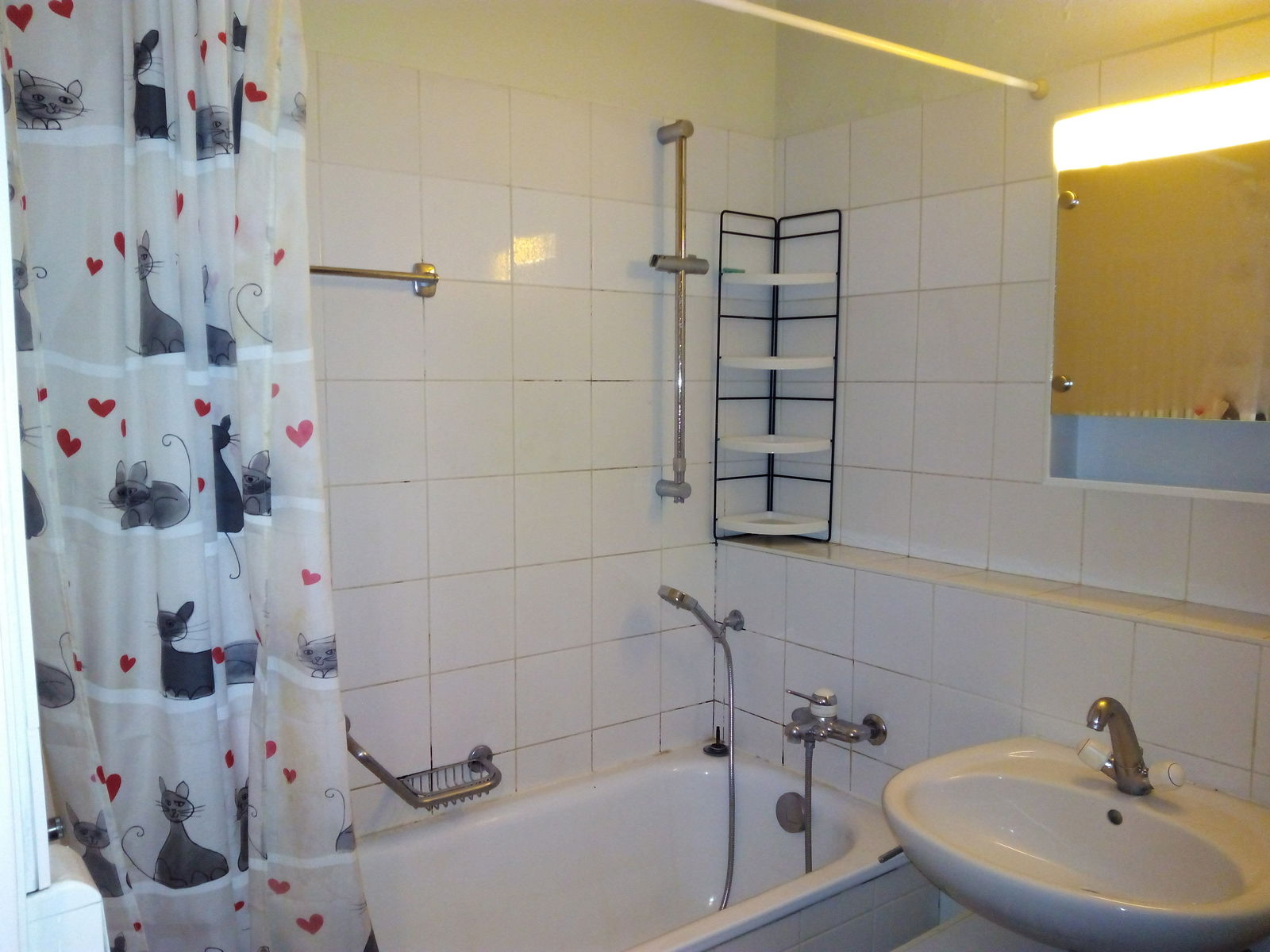 Gastgezin Genève 122390