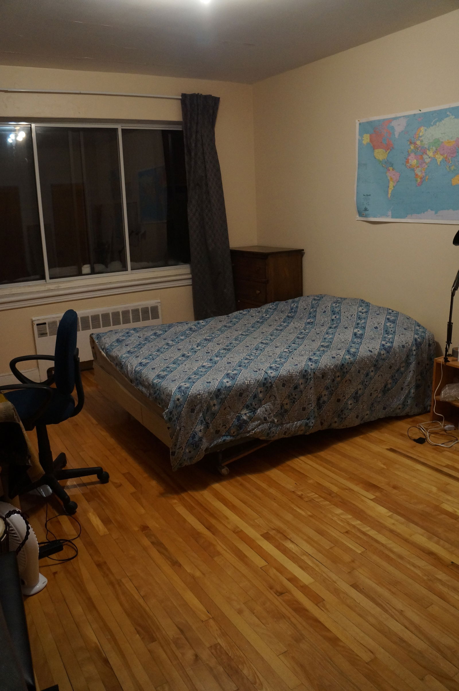 Kolokasie Montréal 132423