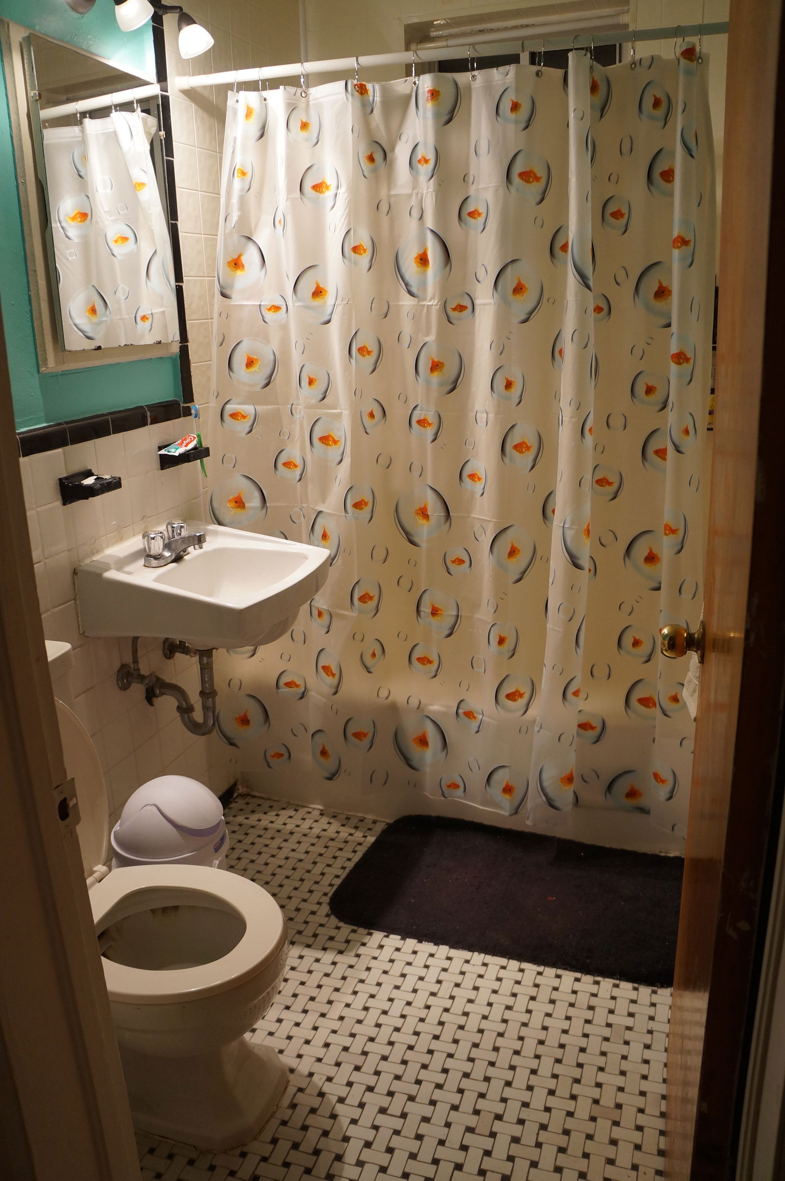 Kolokasie Montréal 132423