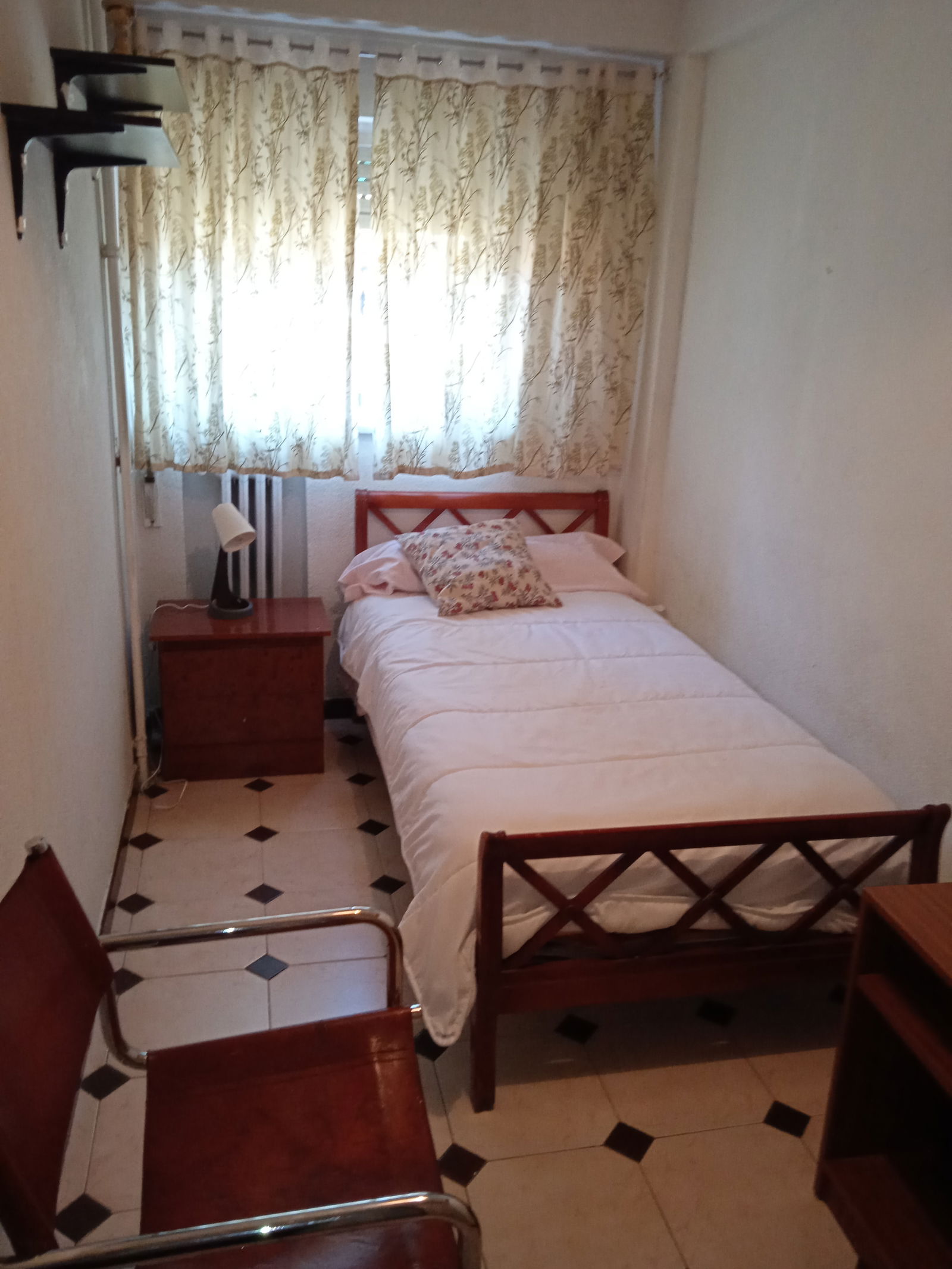 Kolokasie Madrid 247062