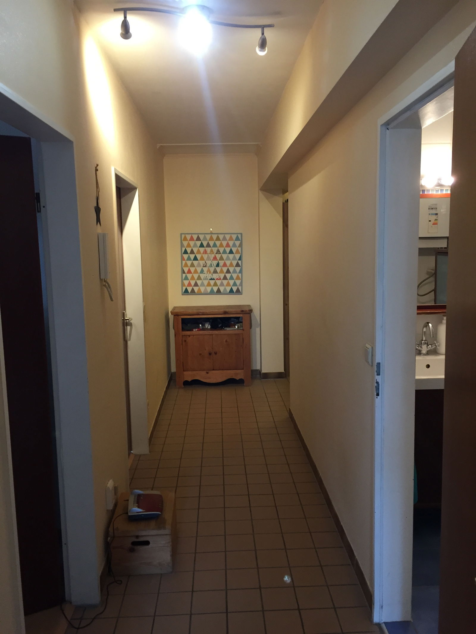 Kolokasie Luxembourg 249667