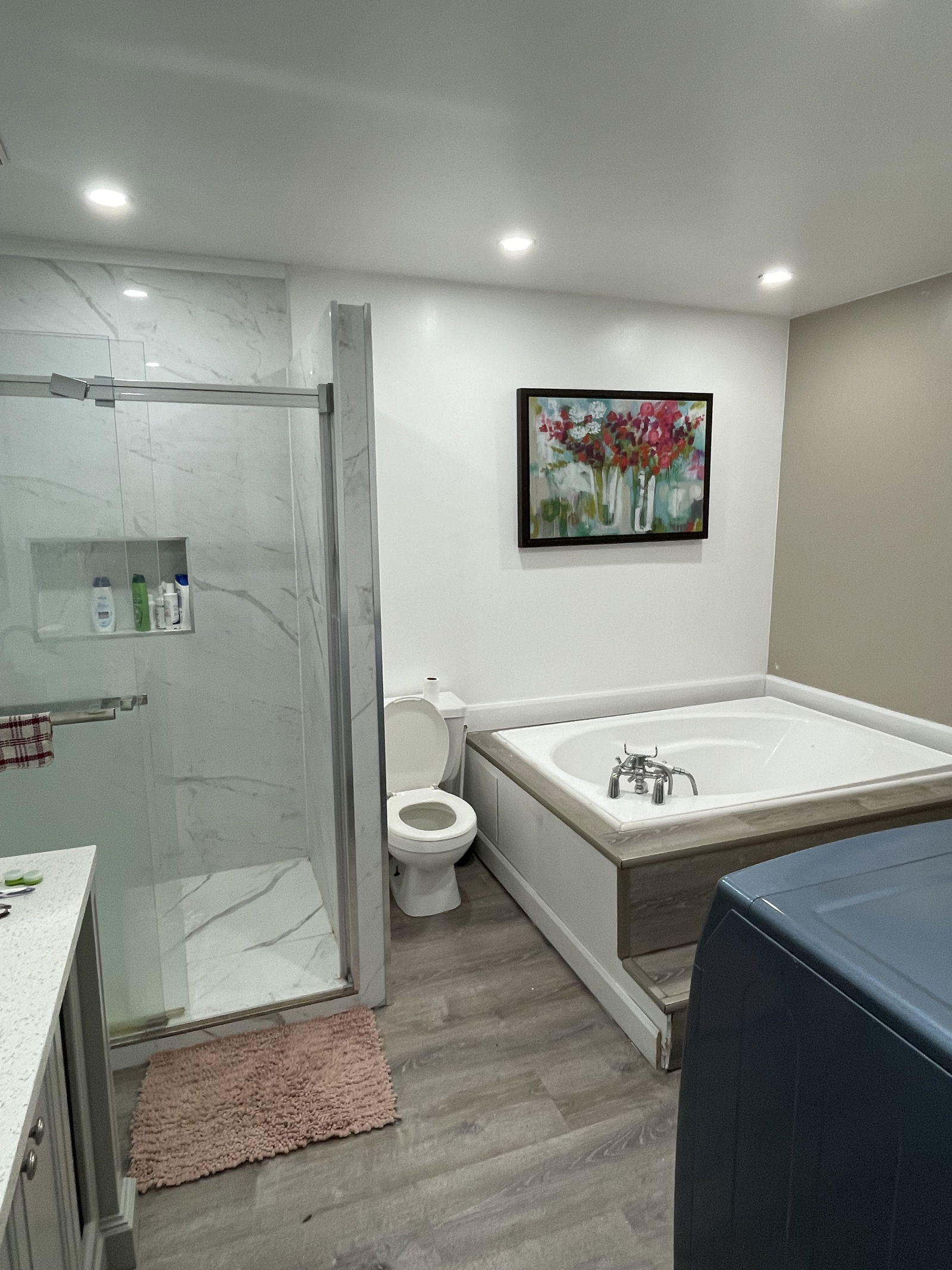 Colocatie Montréal 528163