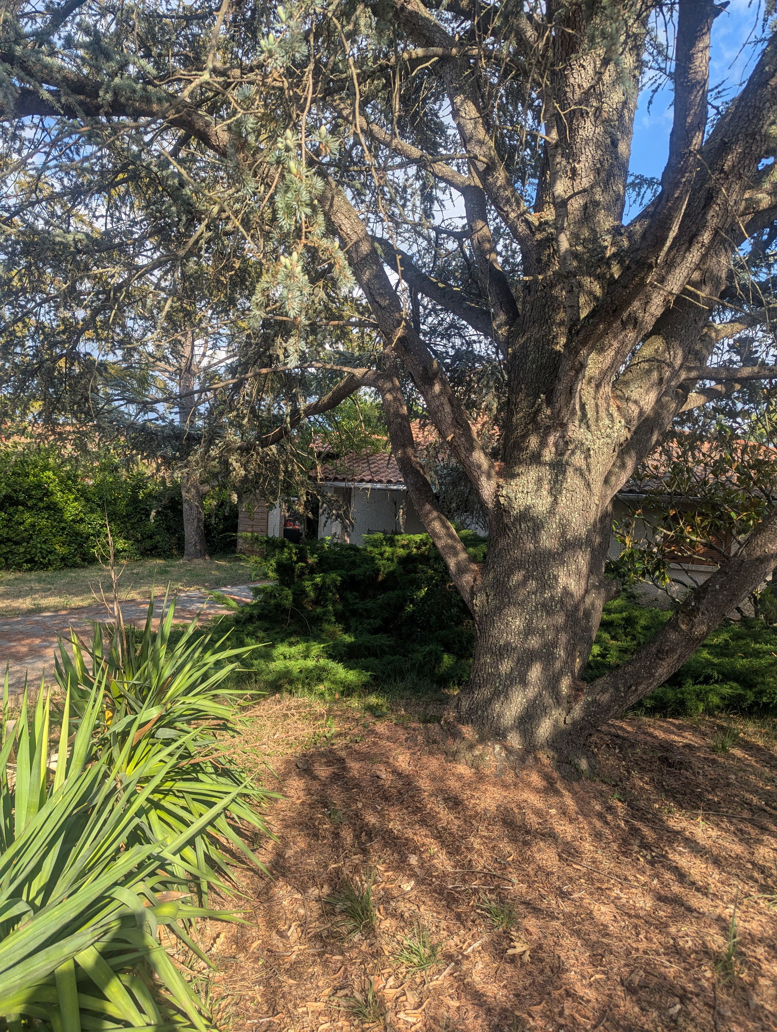 Gastgezin Fonsorbes 595629