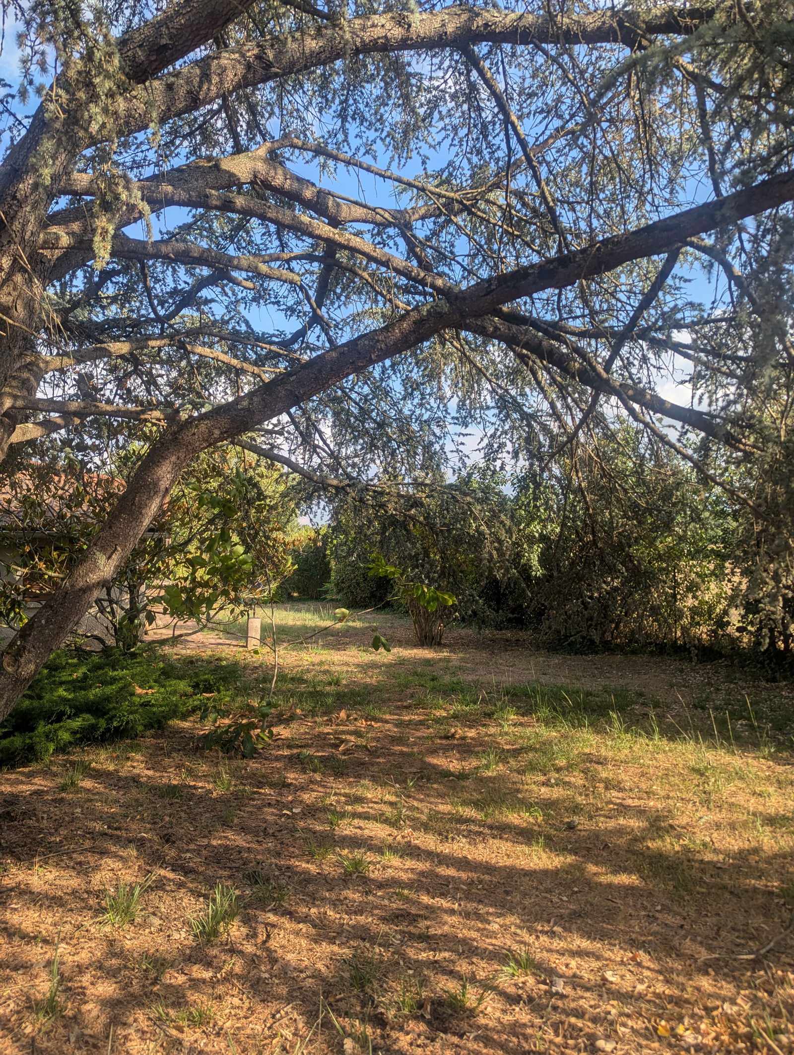 Gastgezin Fonsorbes 595629