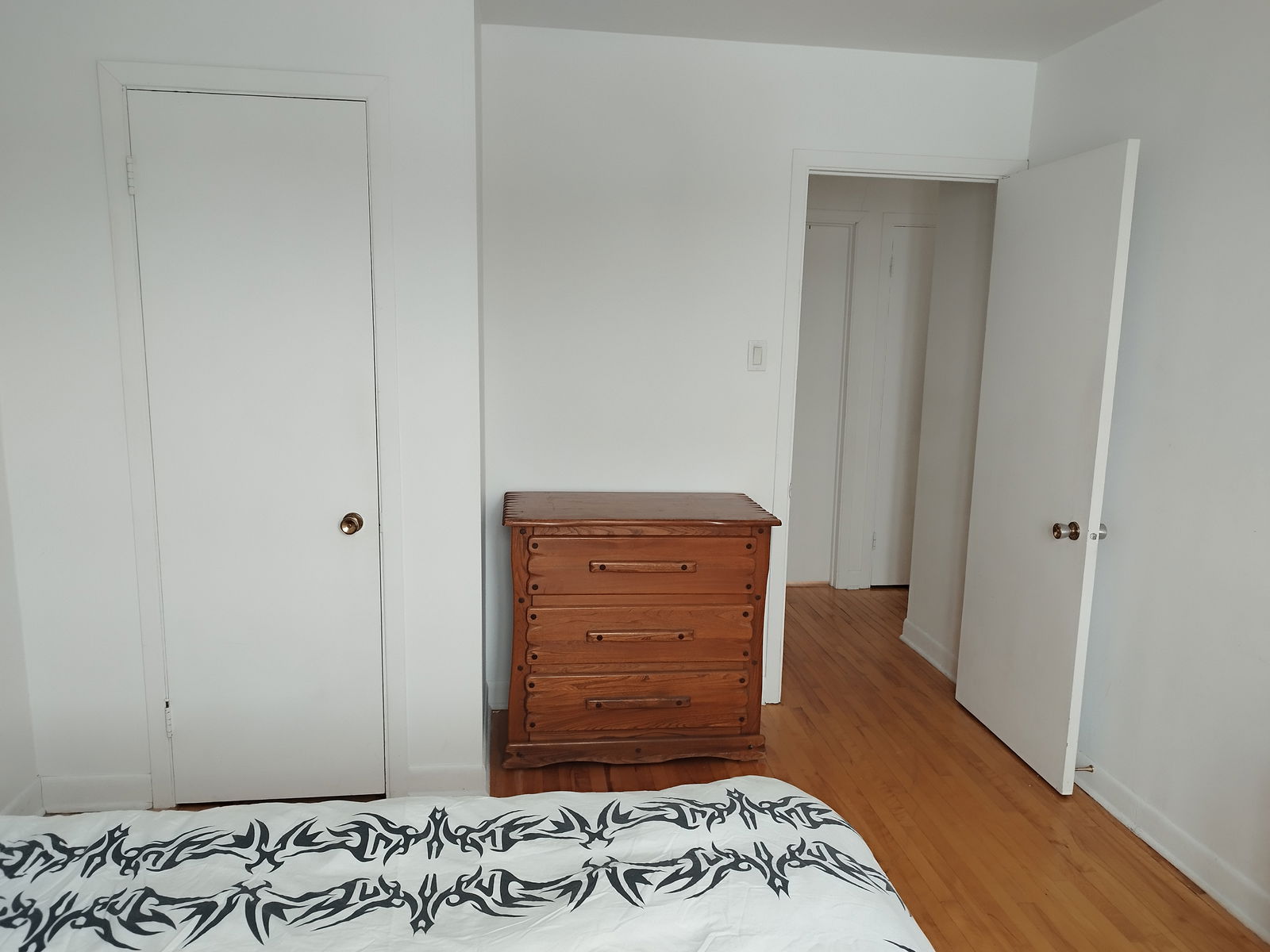 Kolokasie Québec 612664