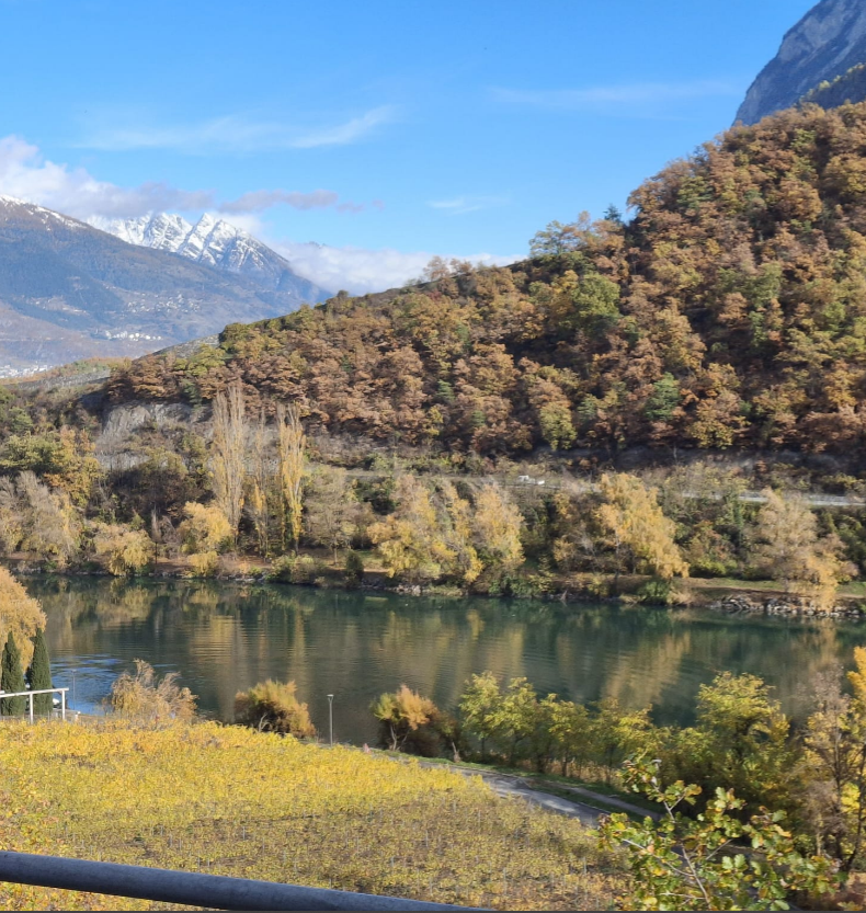 Colocatie Sierre 655999