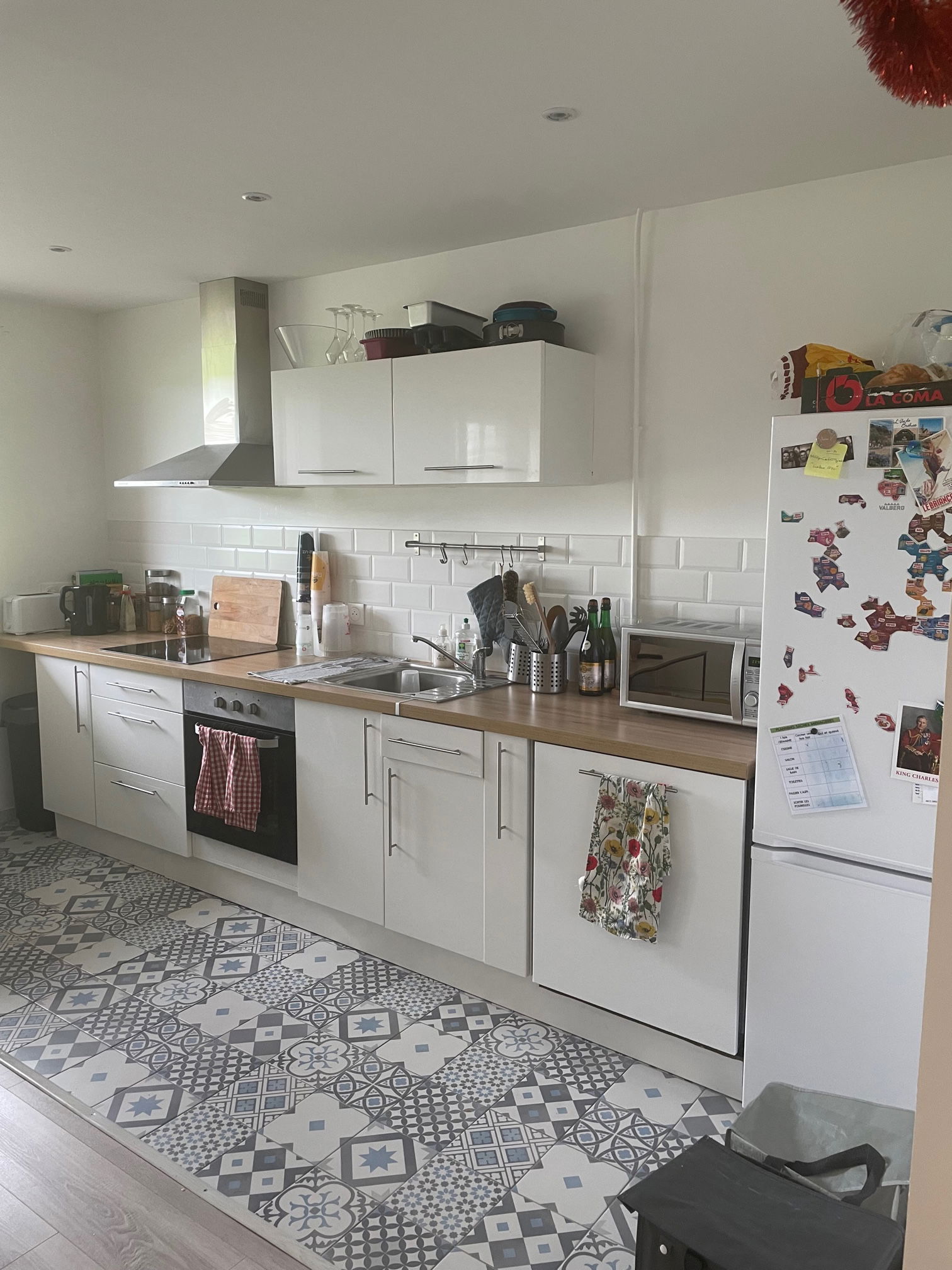 Kolokasie Ermont 657699