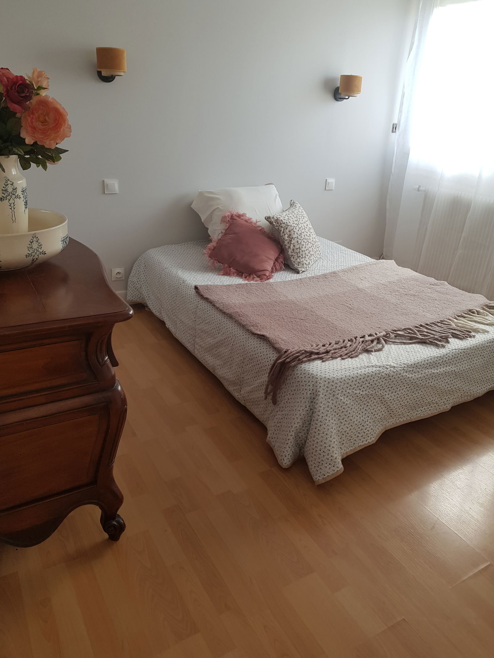 Kolokasie Saint-Médard-en-Jalles 658118