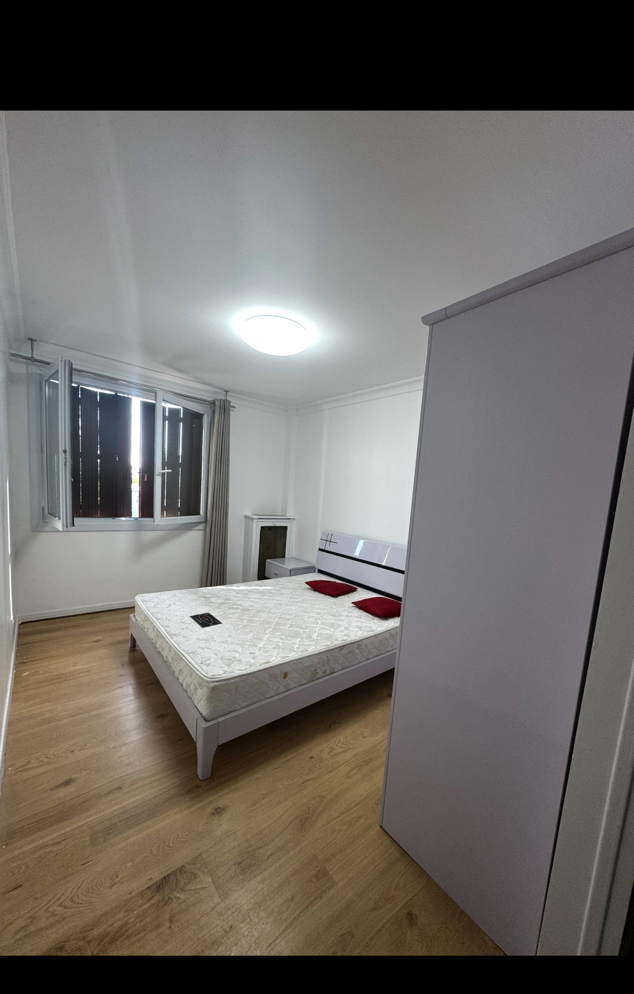 Kolokasie Épinay-sur-Seine 659048