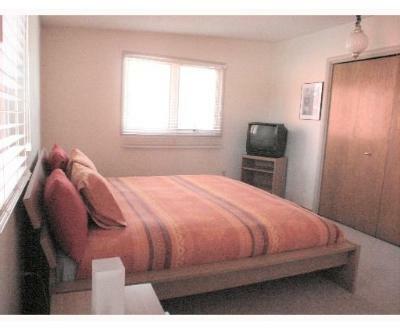 Kolokasie Calgary 109146