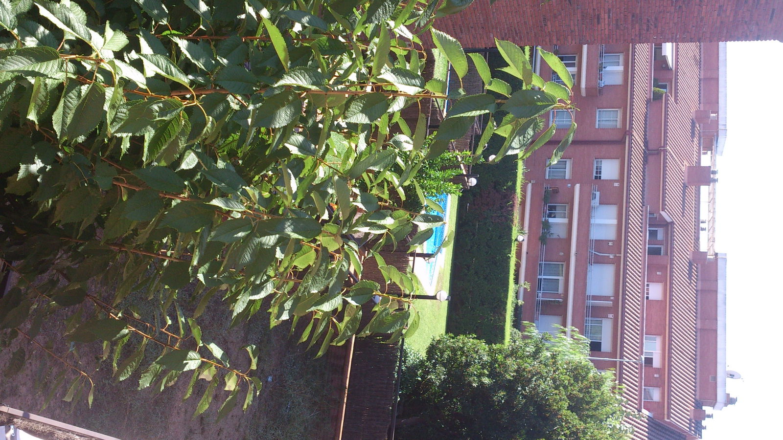 Colocatie Sant Cugat del Vallès 81203