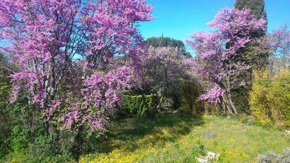 Colocatie Aix-en-Provence 231103