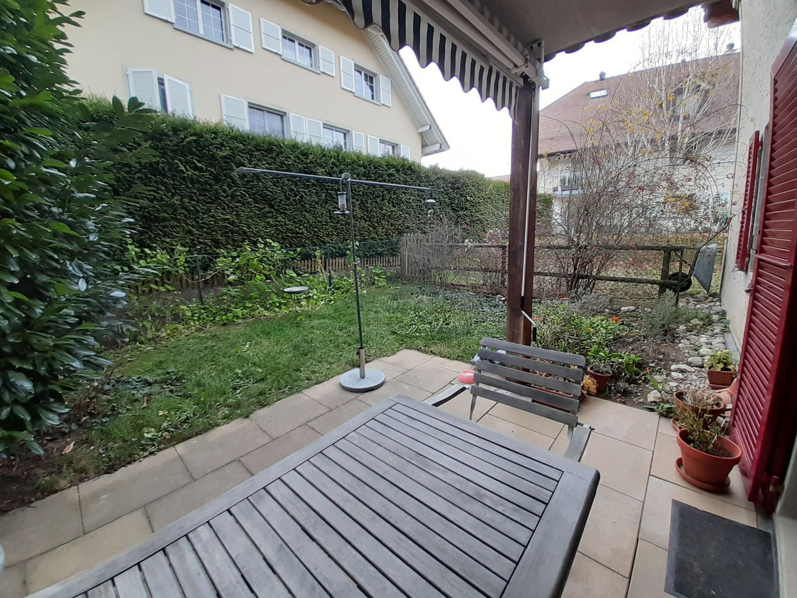 Kolokasie Bioley-Orjulaz 240972