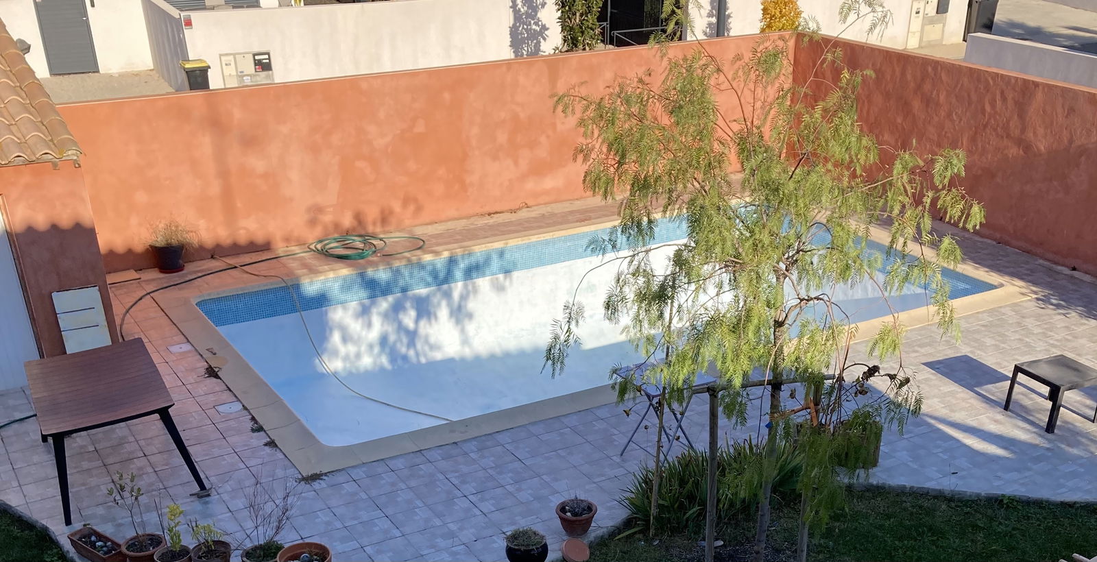 Kolokasie Vendargues 254928