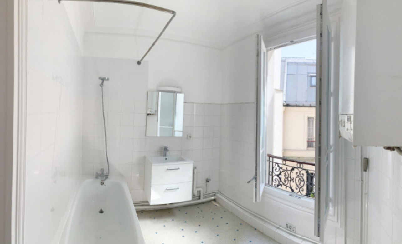 Kolokasie Paris 556277