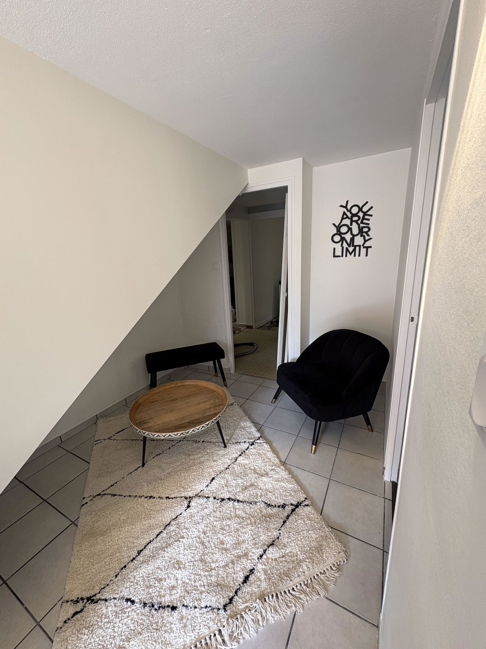 Kolokasie La Roche-sur-Yon 603981