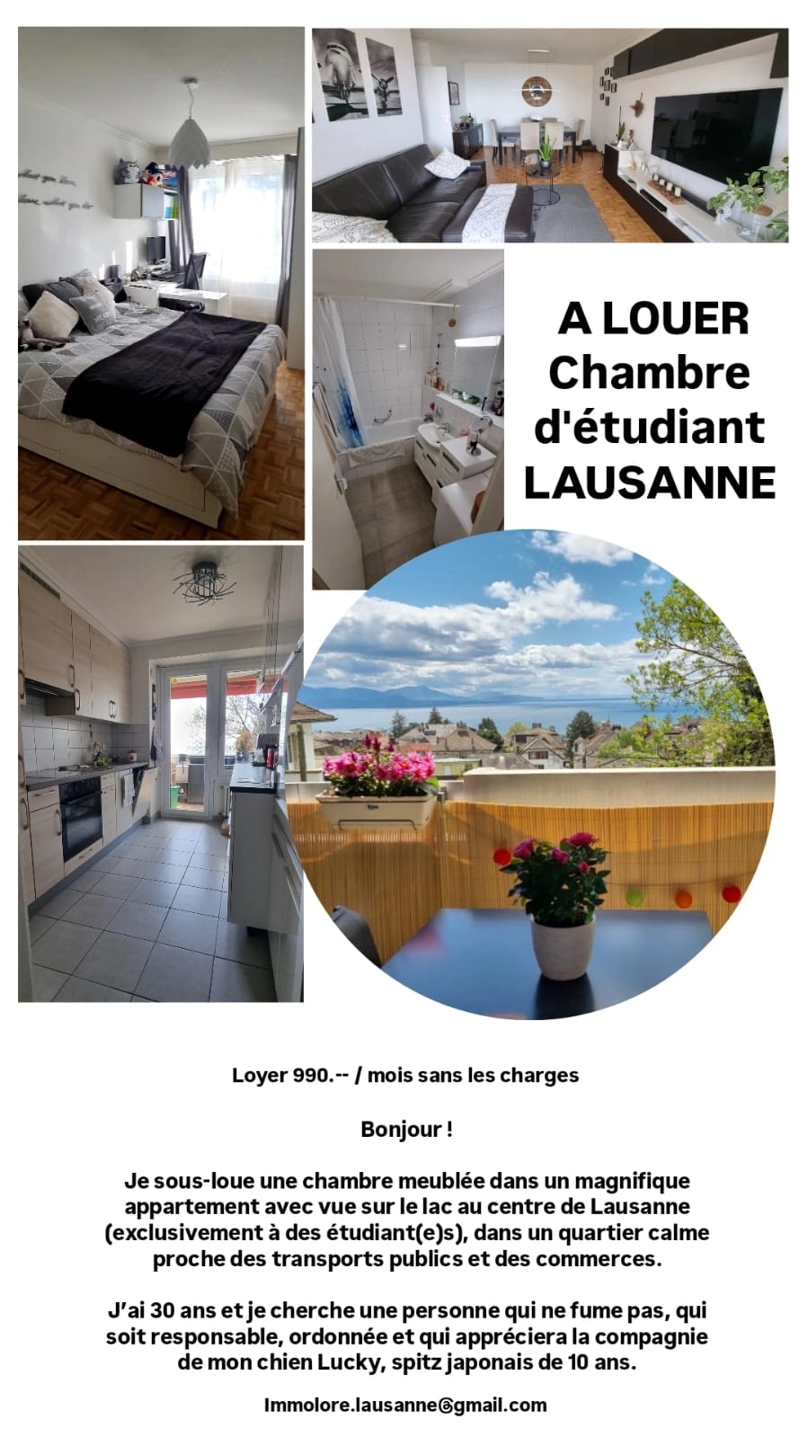 Tuisverblyf Lausanne 514984