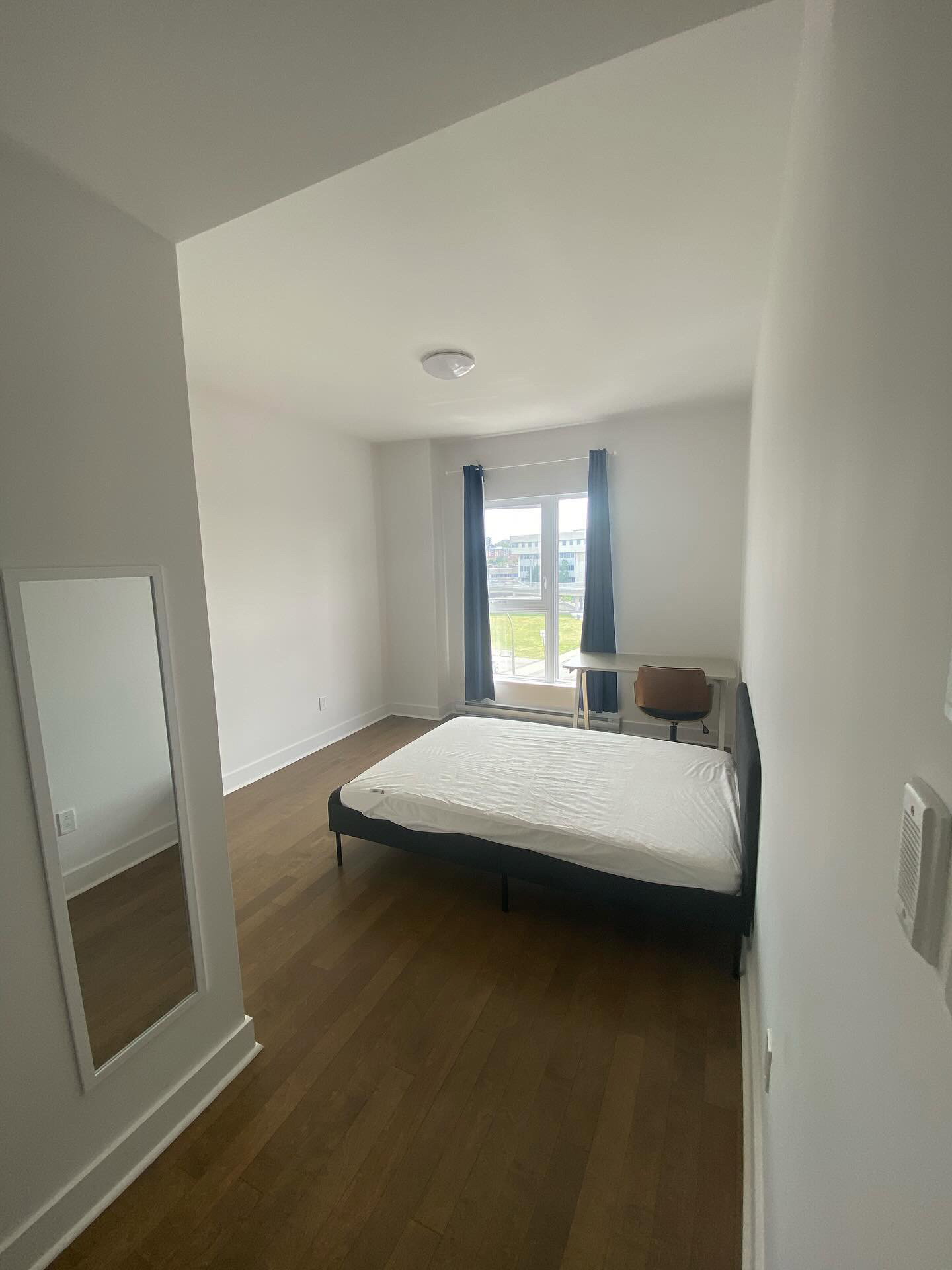 Kolokasie Montréal 524216