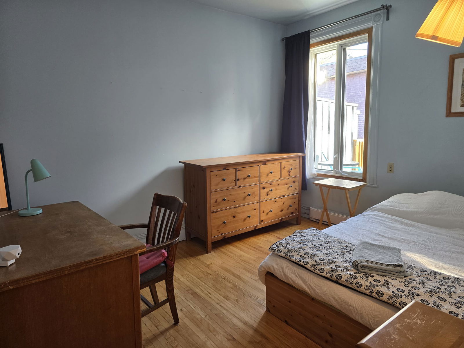 Kolokasie Montréal 634125