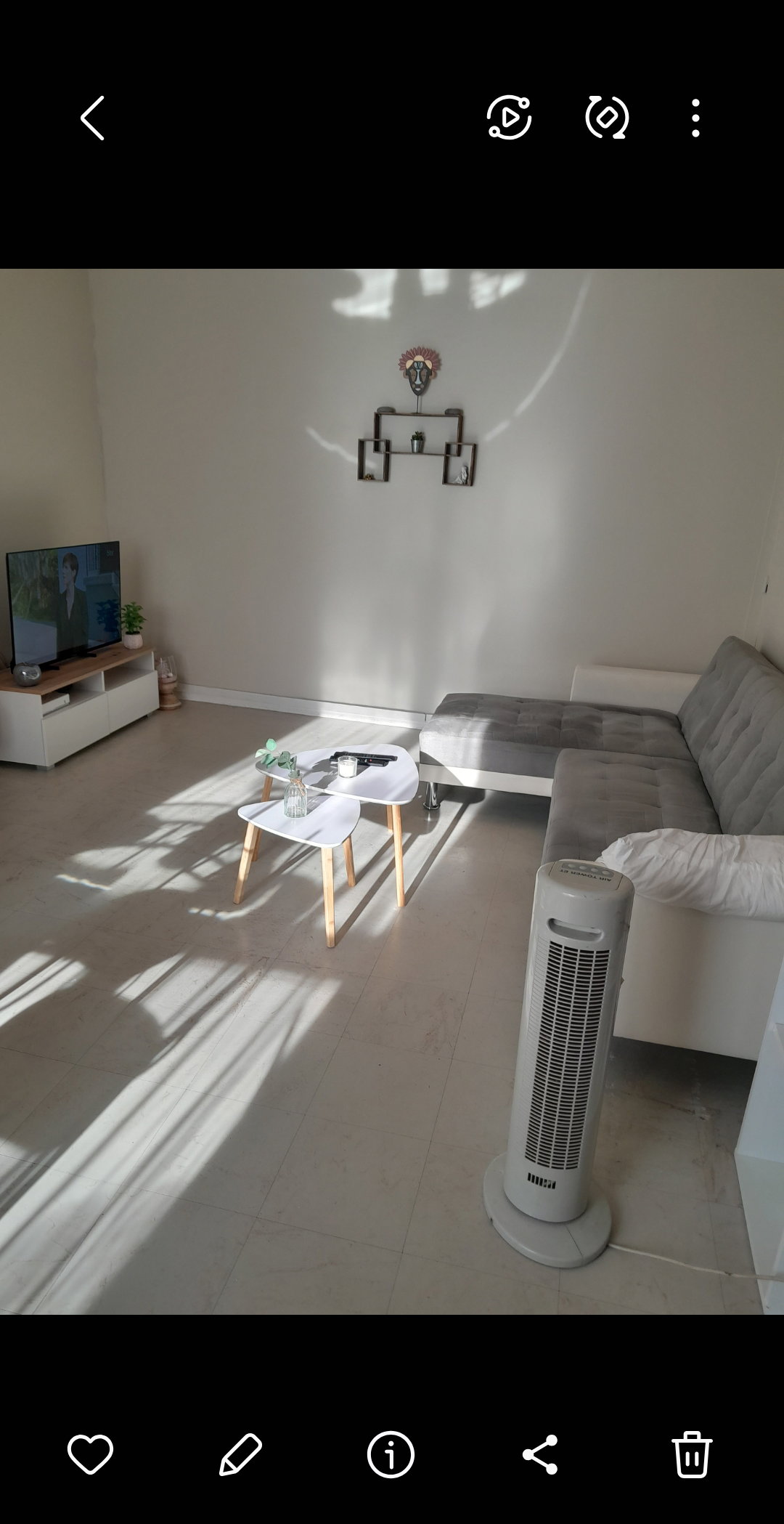 Kolokasie Villeurbanne 641416