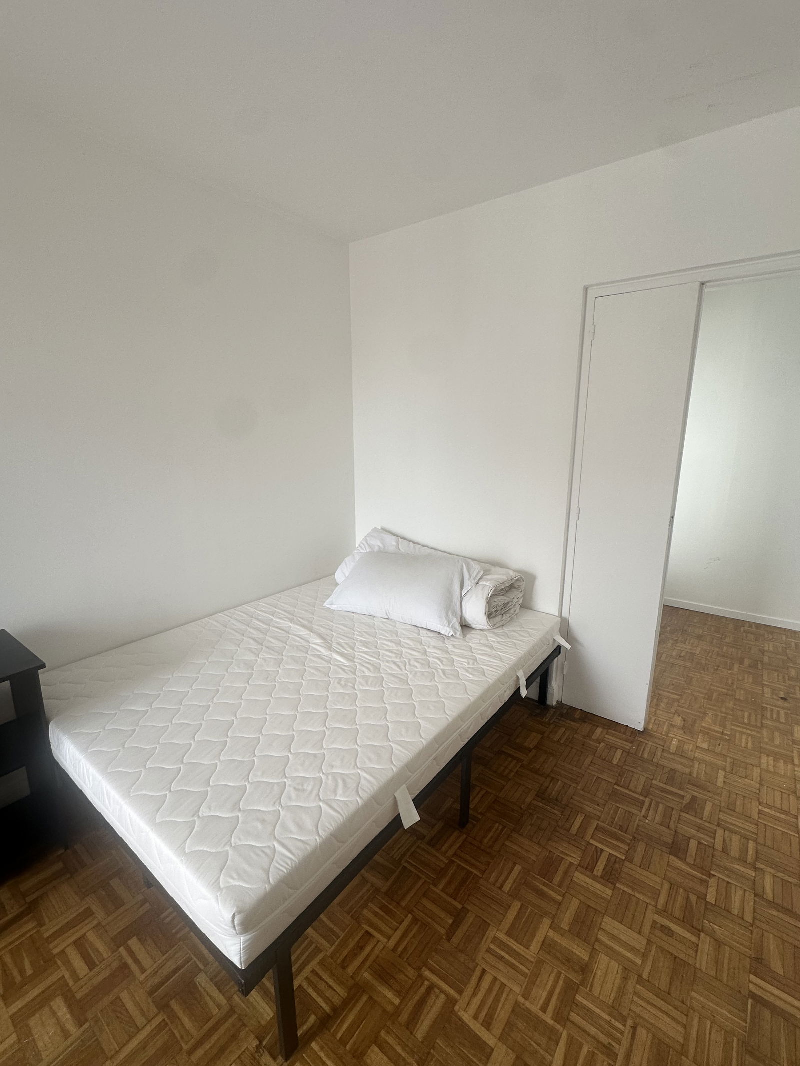 Kolokasie Argenteuil 557453