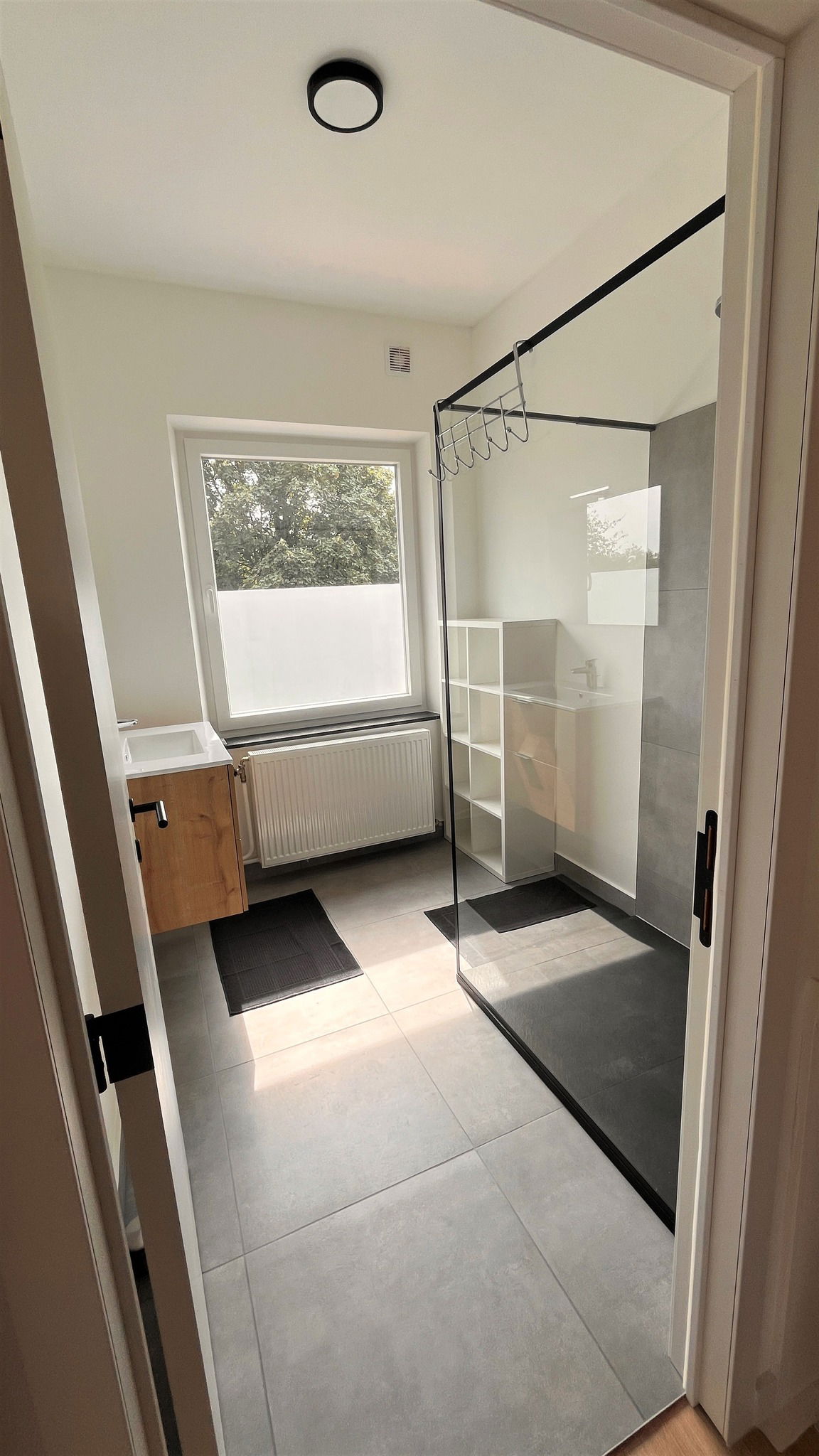 Kolokasie Arlon 612916